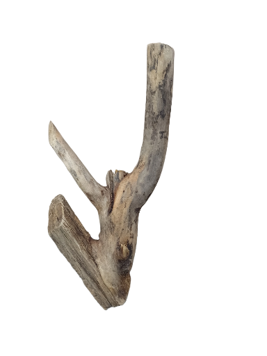 Driftwood for Aquarium original Teak wood Small Branch 20 cm Height 
