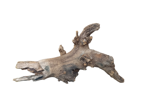 Driftwood for Aquarium original Teak wood Small Branch 25 cm long 