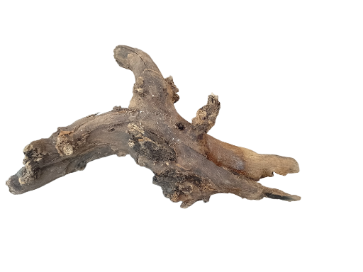 Driftwood for Aquarium original Teak wood Small Branch 25 cm long 