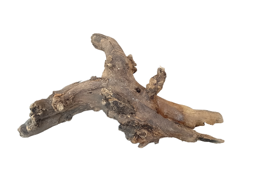Driftwood for Aquarium original Teak wood Small Branch 25 cm long 
