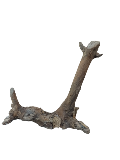 Driftwood for Aquarium original Teak wood Small Branch 25 cm Height