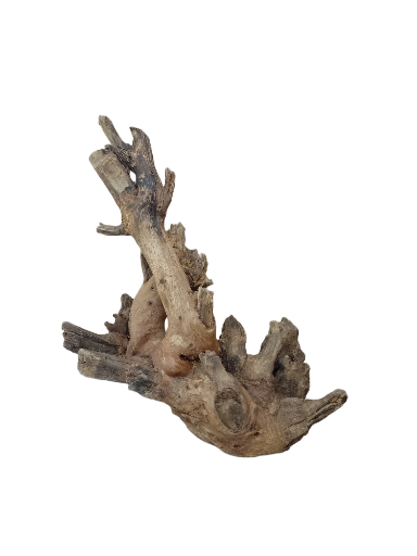 Driftwood for Aquarium original Teak wood Small Branch 20 cm long 