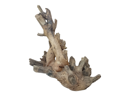 Driftwood for Aquarium original Teak wood Small Branch 20 cm long 