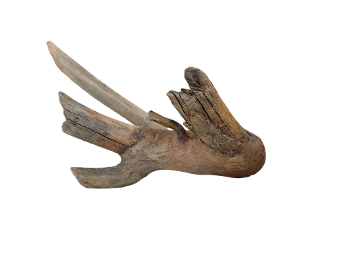 Driftwood for Aquarium original Teak wood Small Branch 20 cm long 