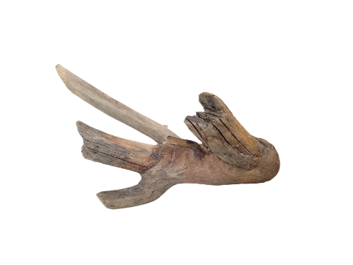 Driftwood for Aquarium original Teak wood Small Branch 20 cm long 