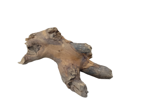 Driftwood for Aquarium original Teak wood Small Branch 20 cm long 