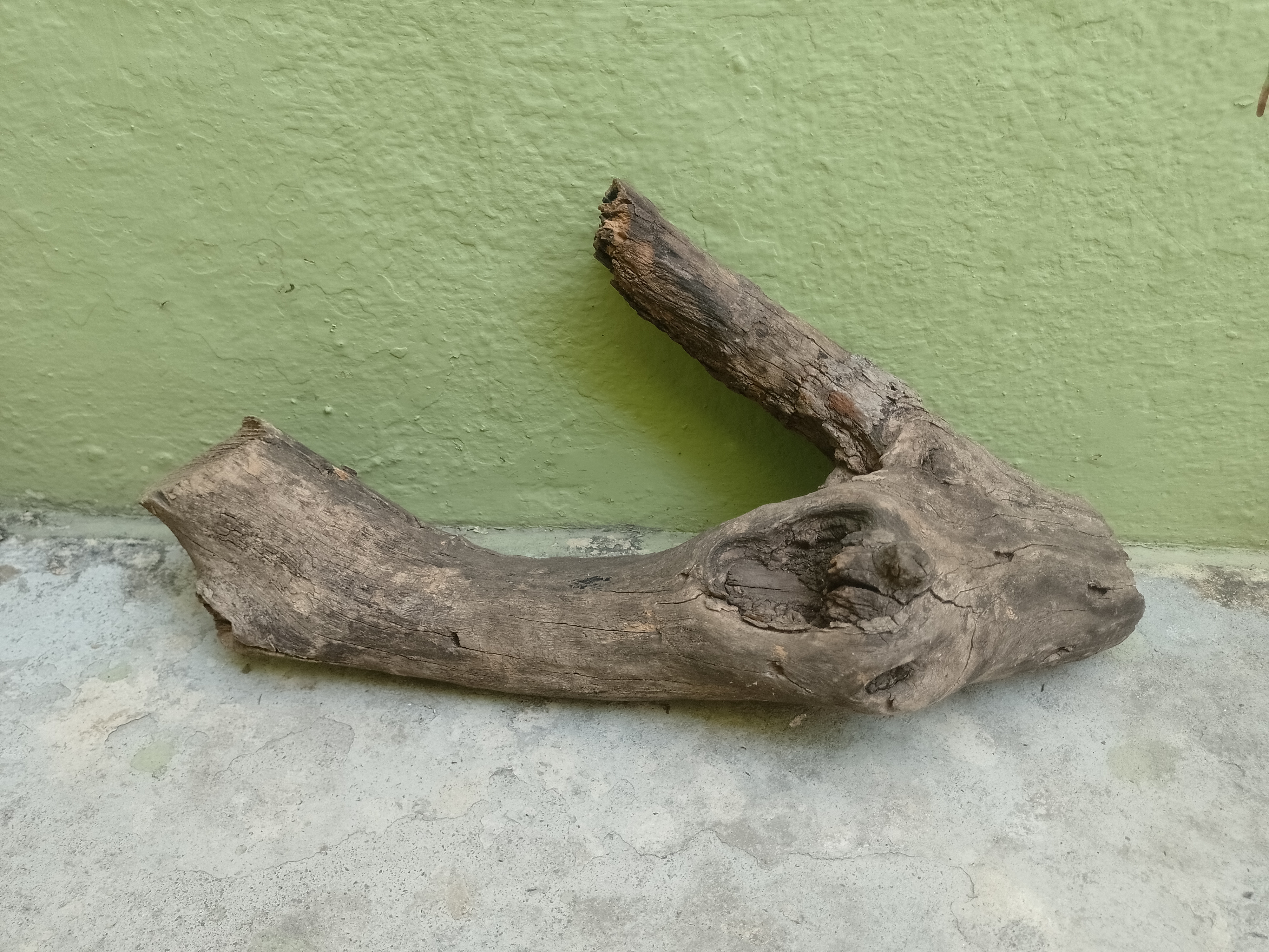 Driftwood For Aquarium 35 Cm long 