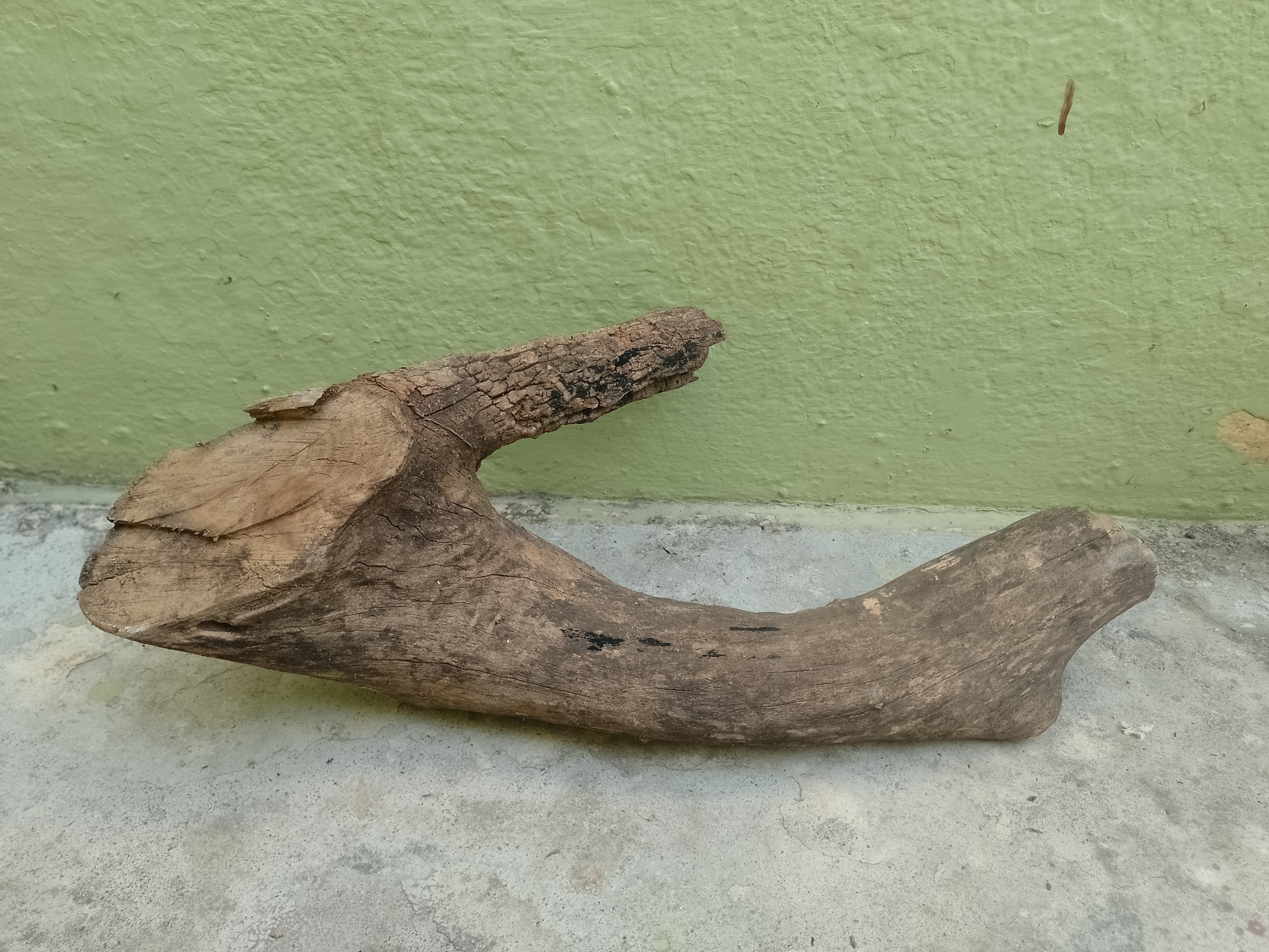 Driftwood For Aquarium 35 Cm long 