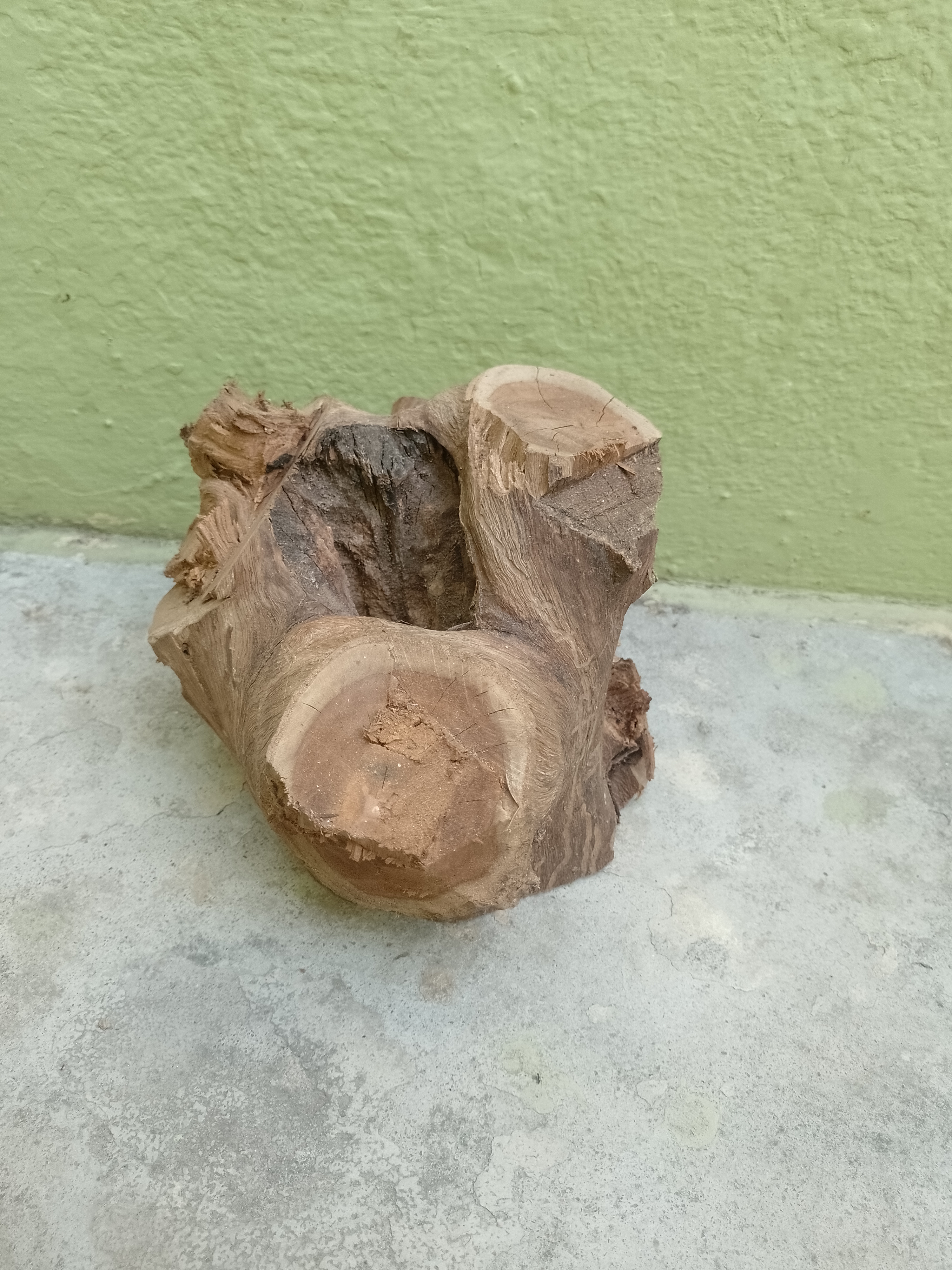 Driftwood Teak Tree Trunk with center hole inside  20 cm long and 2 kg weight 