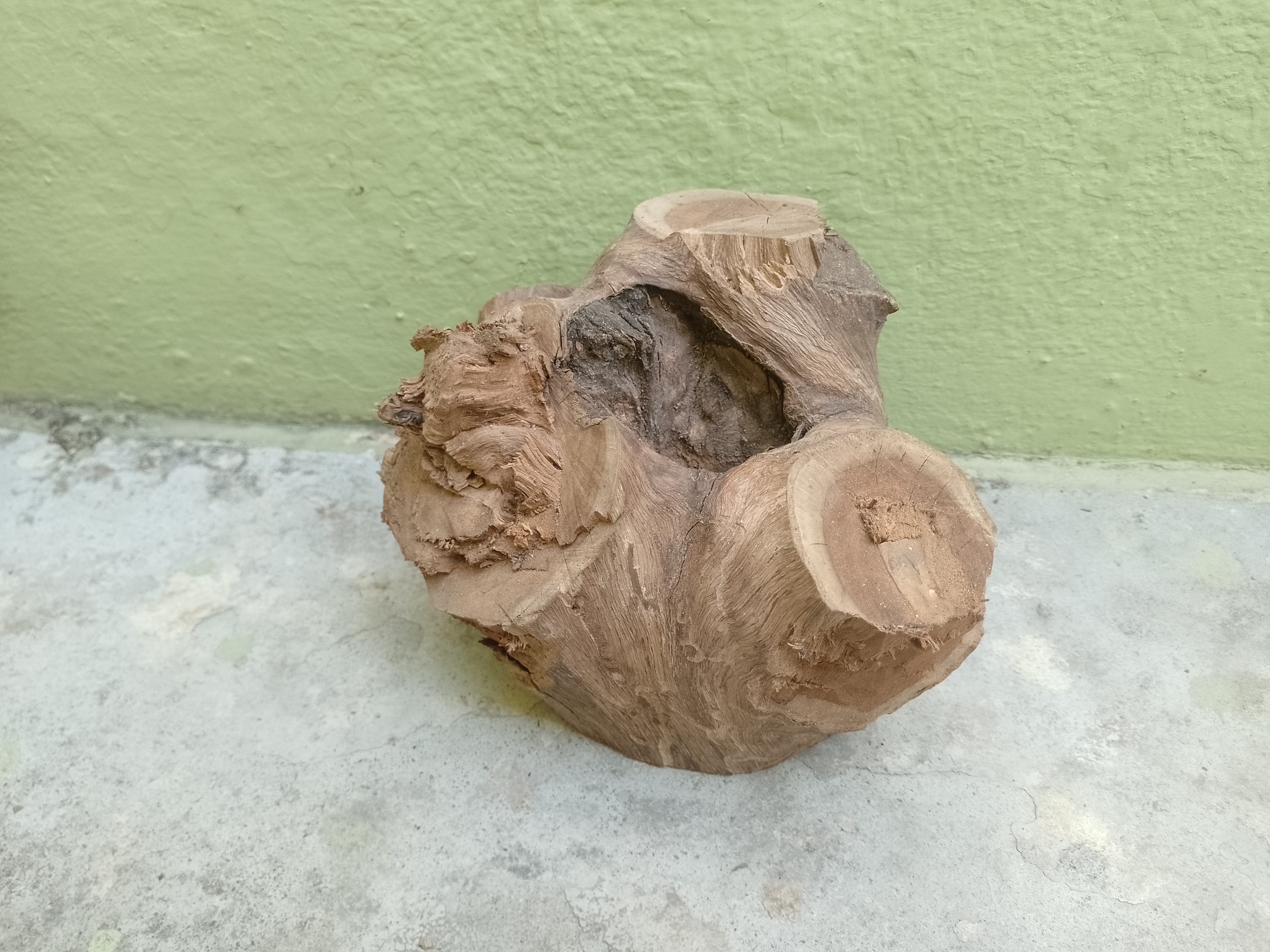 Driftwood Teak Tree Trunk with center hole inside  20 cm long and 2 kg weight 