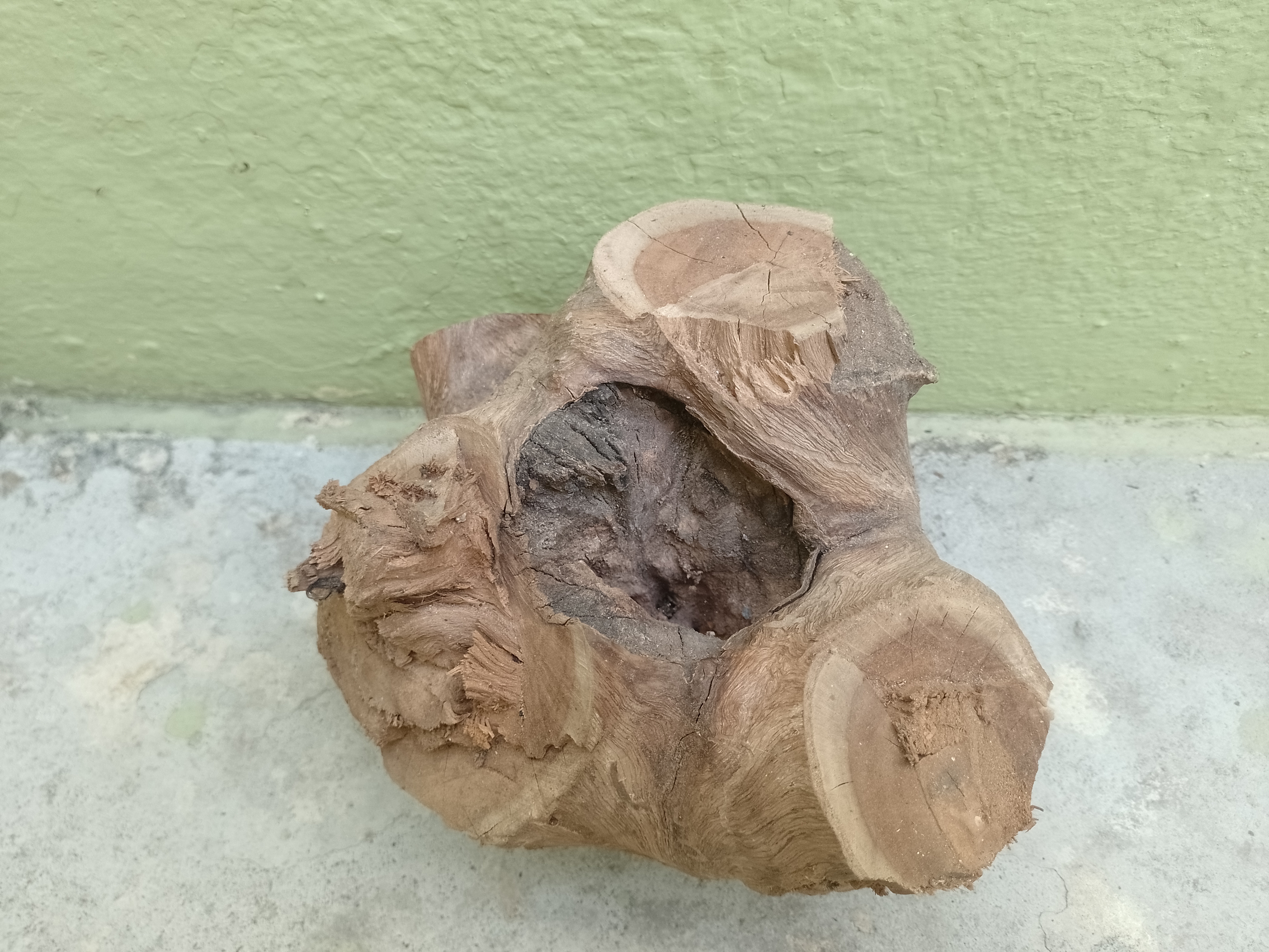 Driftwood Teak Tree Trunk with center hole inside  20 cm long and 2 kg weight 
