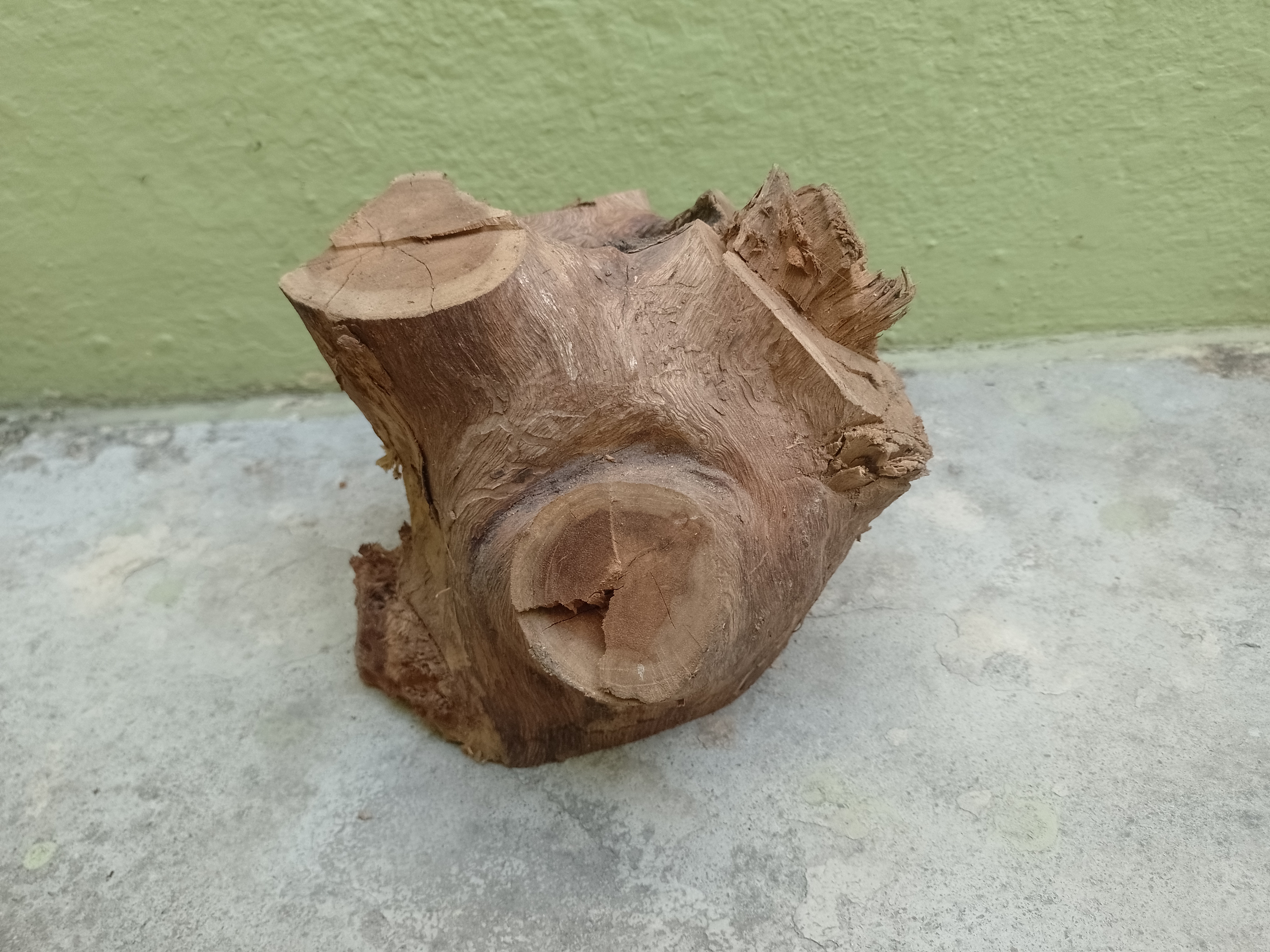 Driftwood Teak Tree Trunk with center hole inside  20 cm long and 2 kg weight 