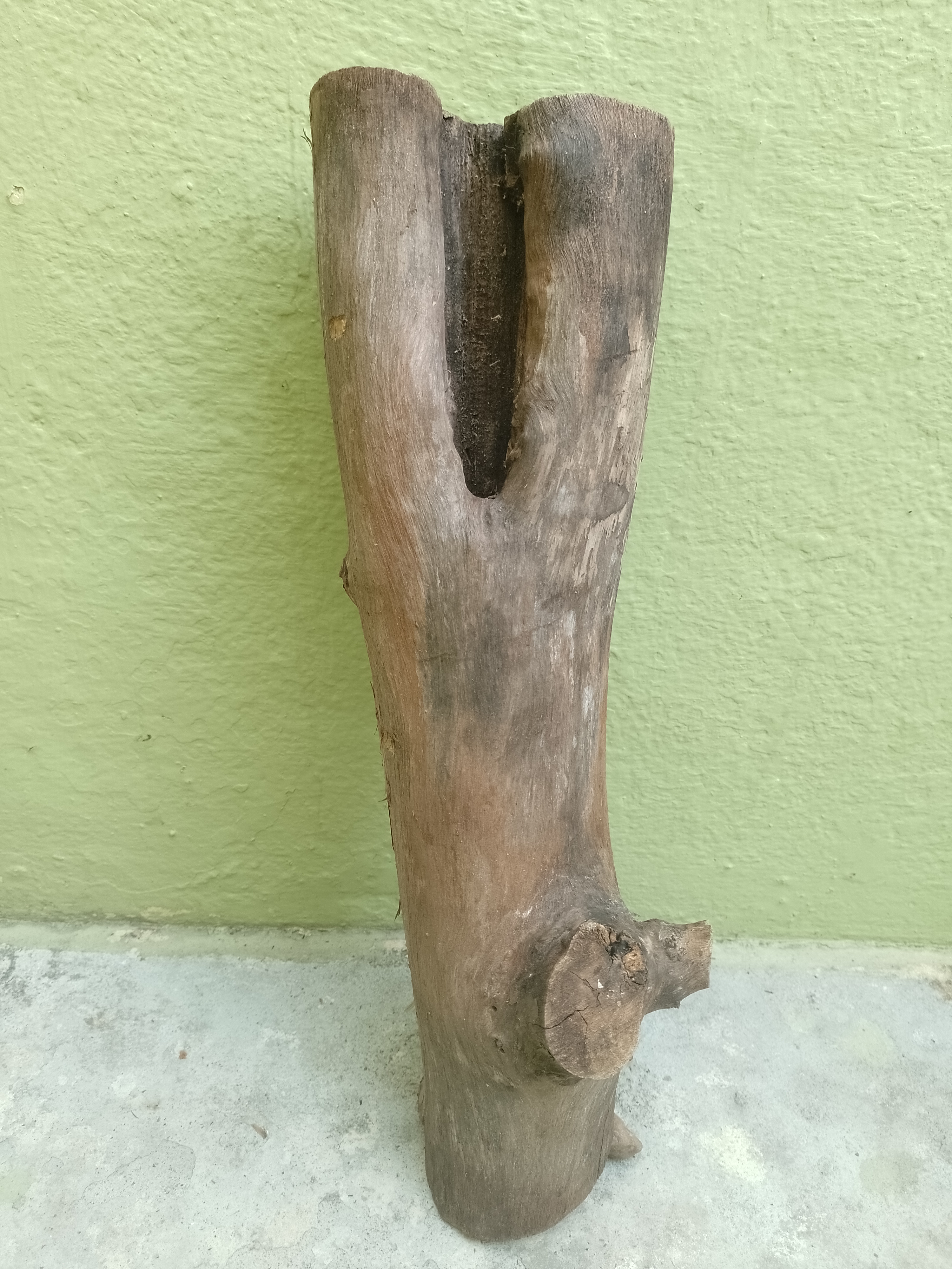 Teak Wooden Log with hole on head 45 cm long for succulents & Plant decor 