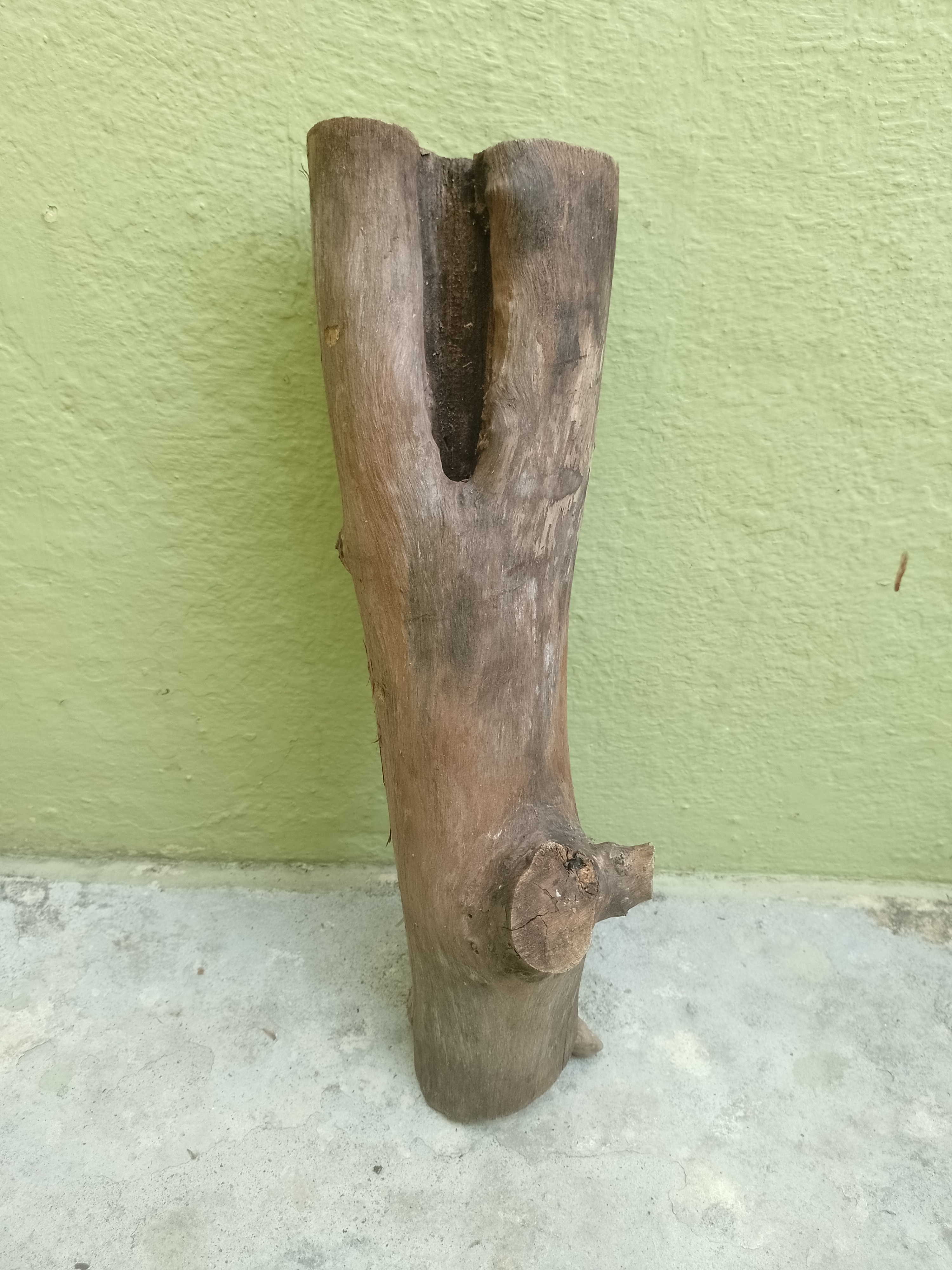 Teak Wooden Log with hole on head 45 cm long for succulents & Plant decor 