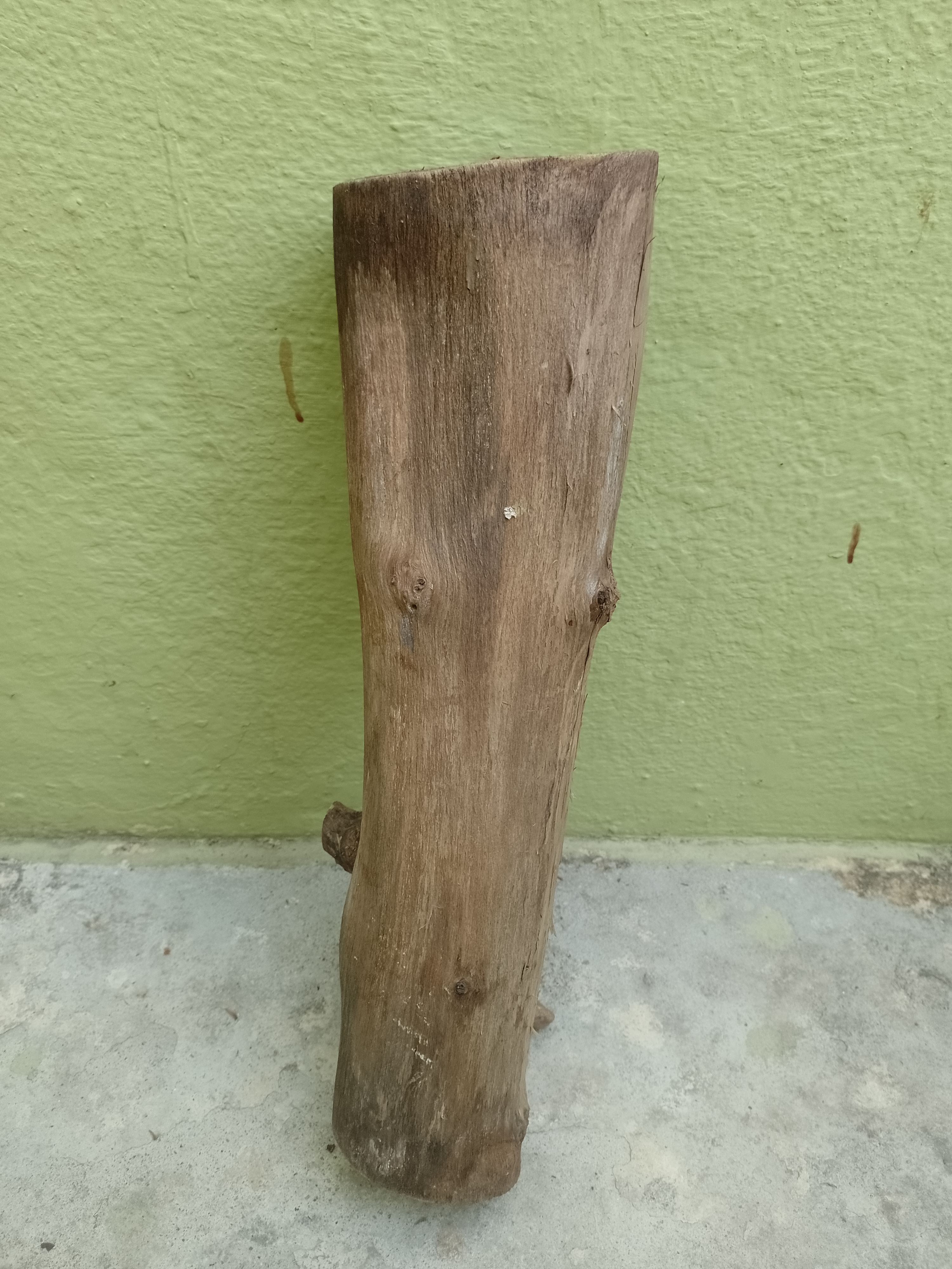 Teak Wooden Log with hole on head 45 cm long for succulents & Plant decor 