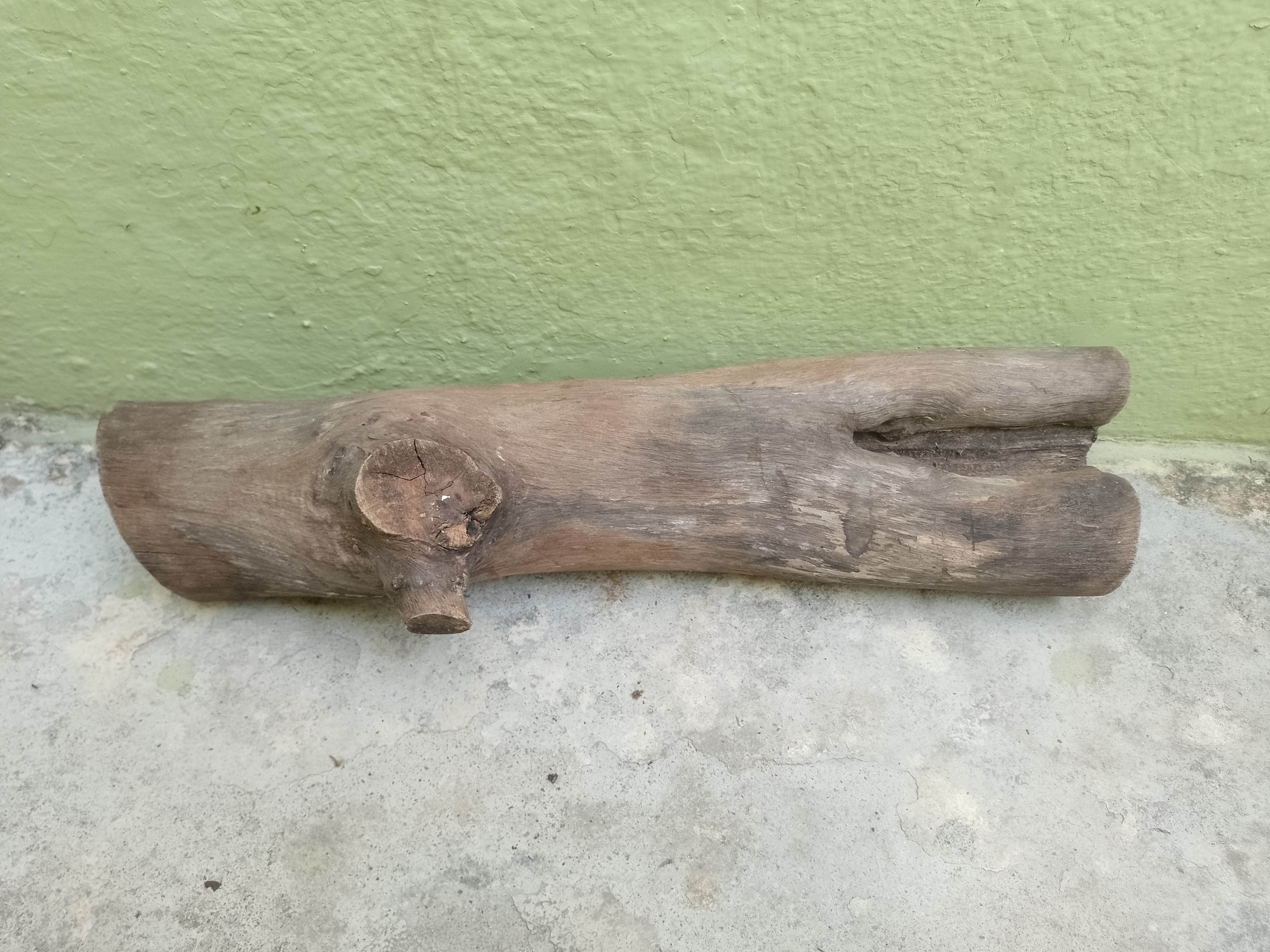 Teak Wooden Log with hole on head 45 cm long for succulents & Plant decor 