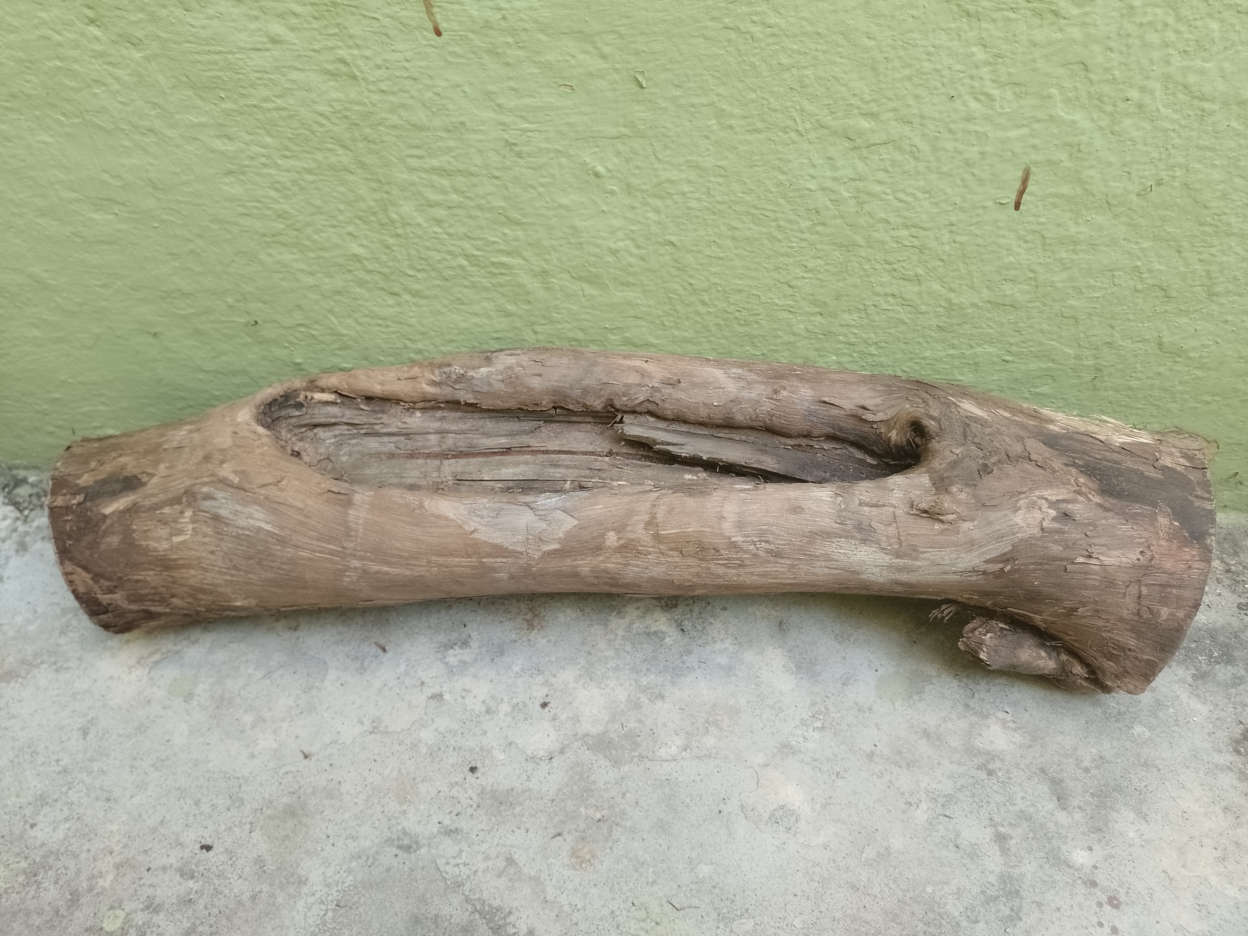 Teak Driftwood Log with hole in center 56 Cm long 