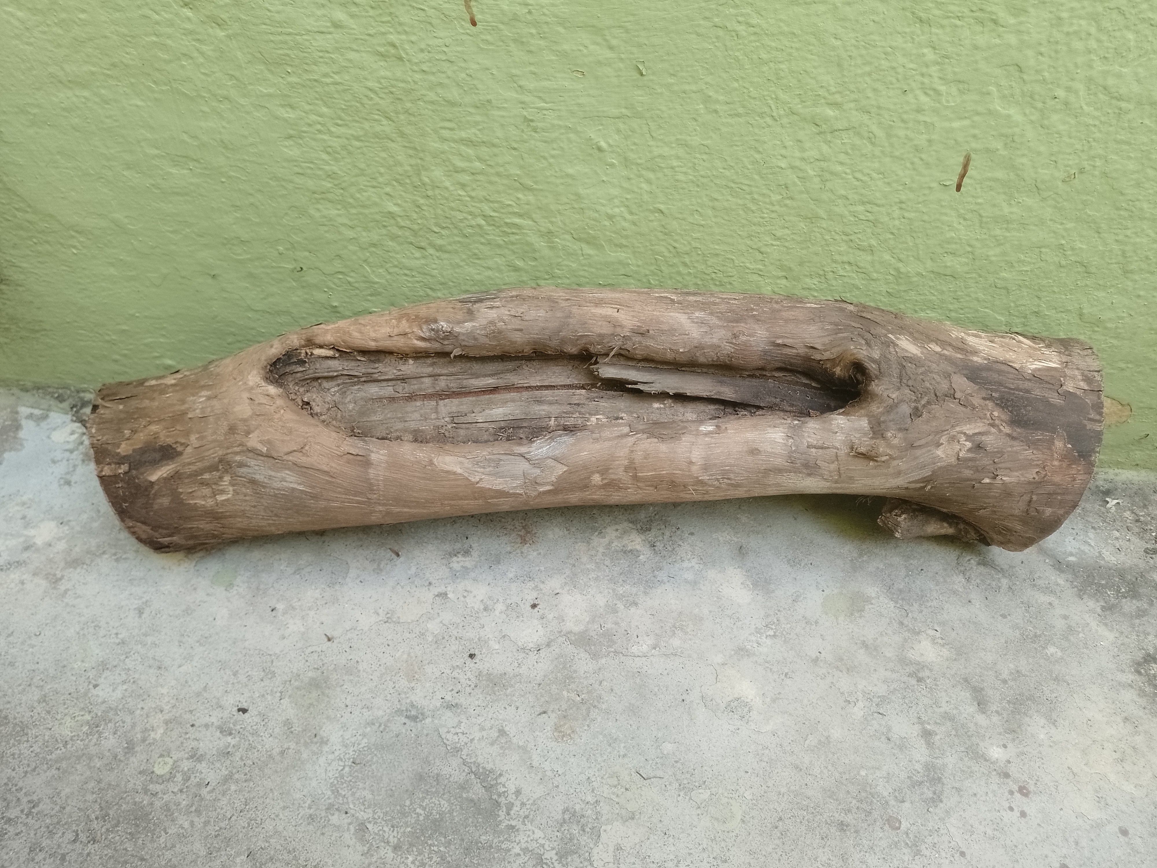 Teak Driftwood Log with hole in center 56 Cm long 