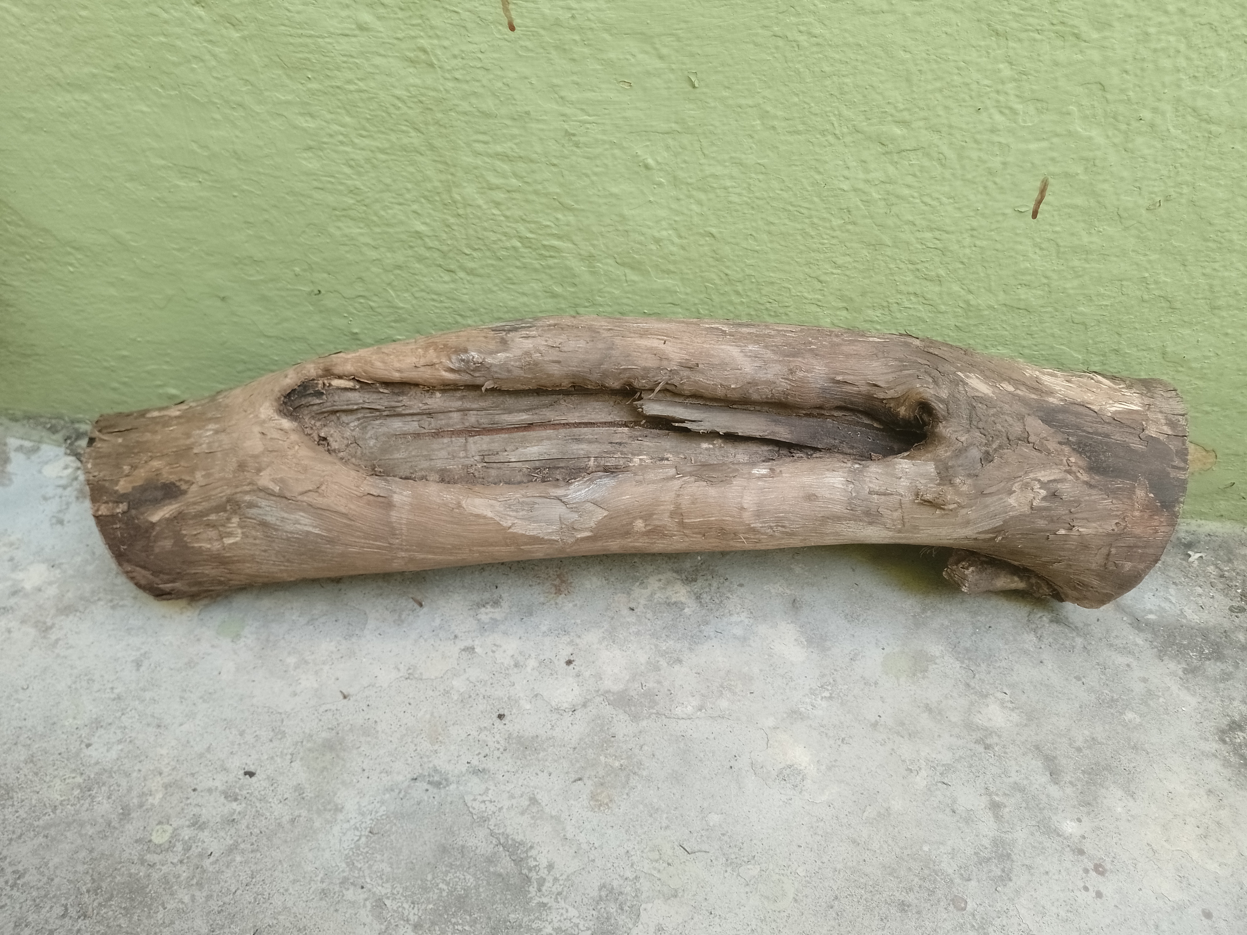 Teak Driftwood Log with hole in center 56 Cm long 