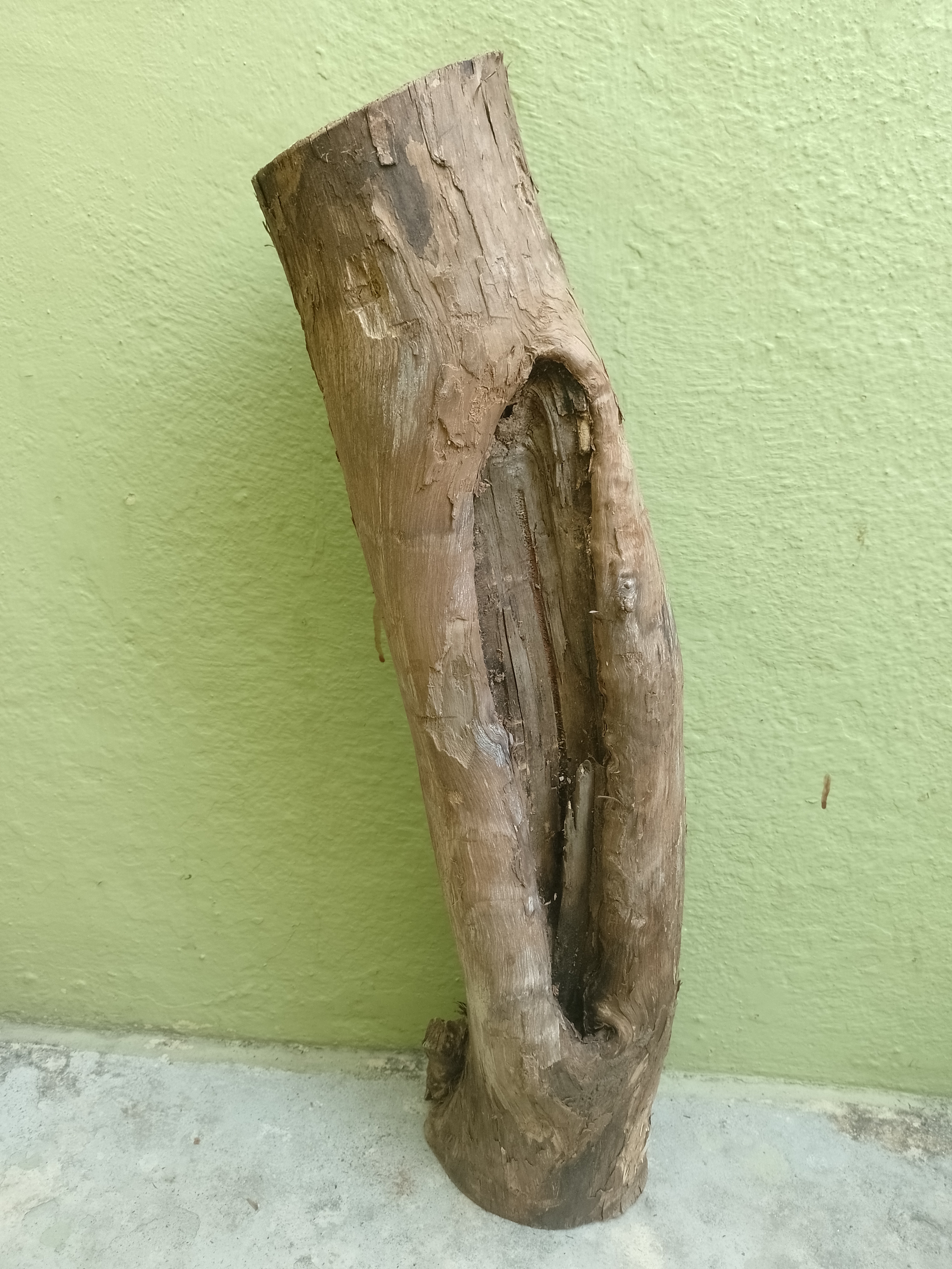 Teak Driftwood Log with hole in center 56 Cm long 