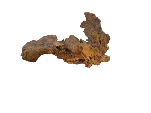 Natural Driftwood Piece 25 cm long 