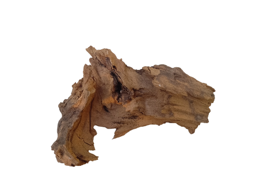 Natural Driftwood Piece 25 cm long 