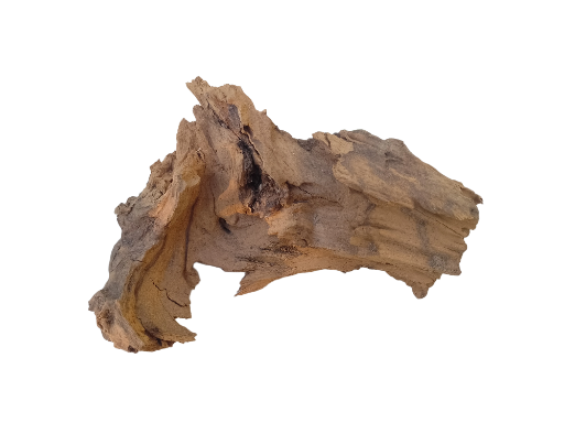 Natural Driftwood Piece 25 cm long 
