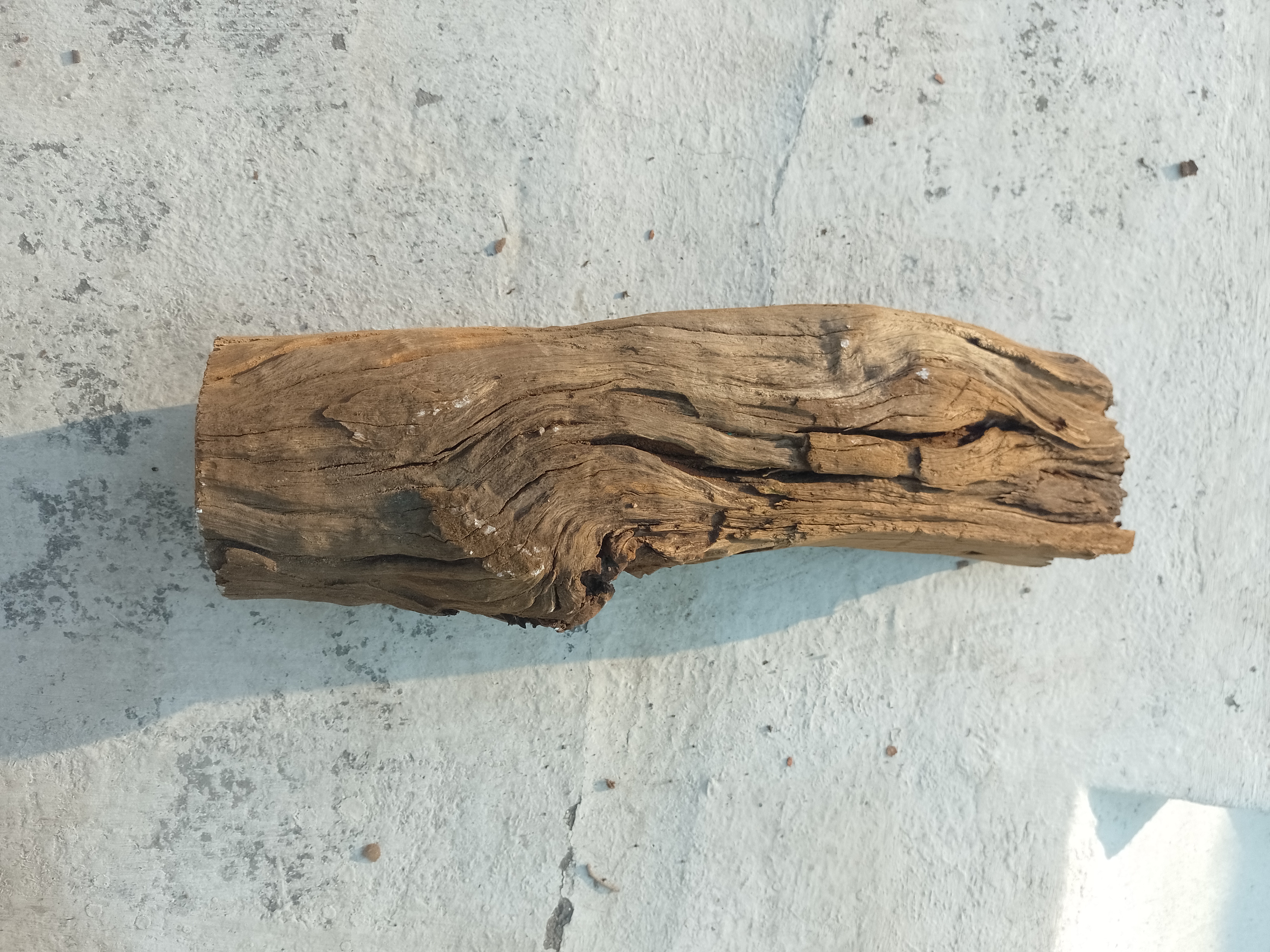 Weathered Wooden Block Driftwood 45 Cm long 