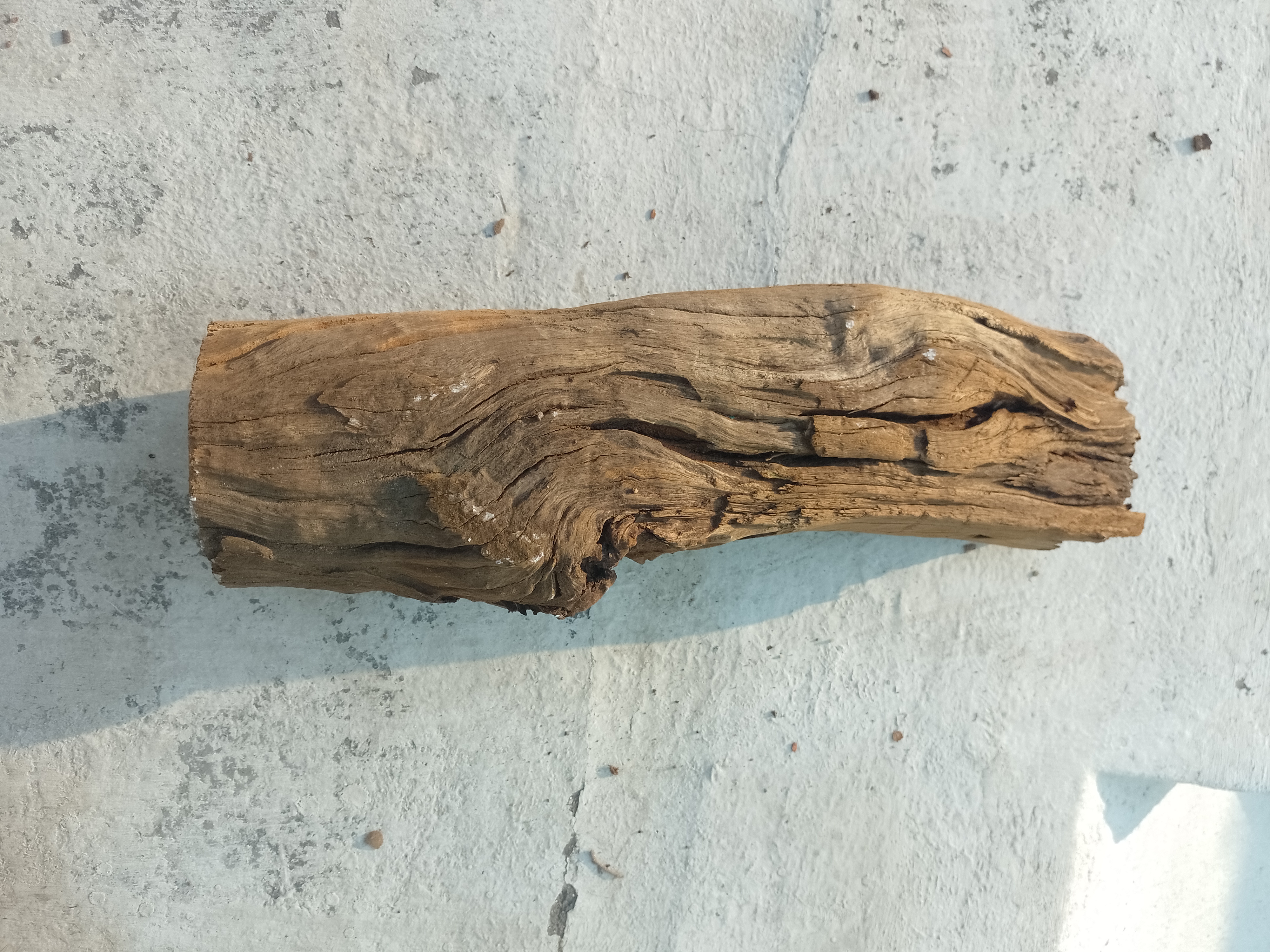 Weathered Wooden Block Driftwood 45 Cm long 
