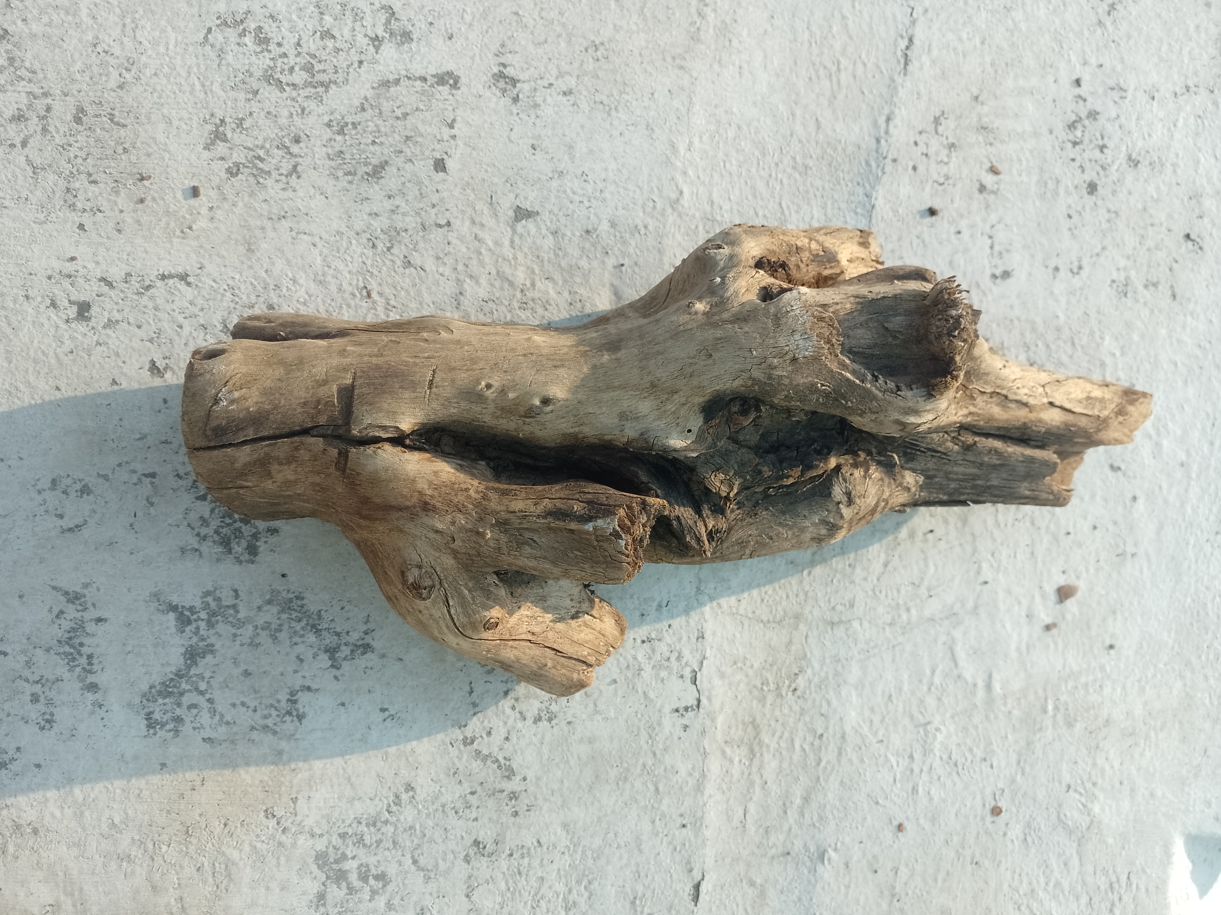 Rustic Driftwood 45 Cm long 