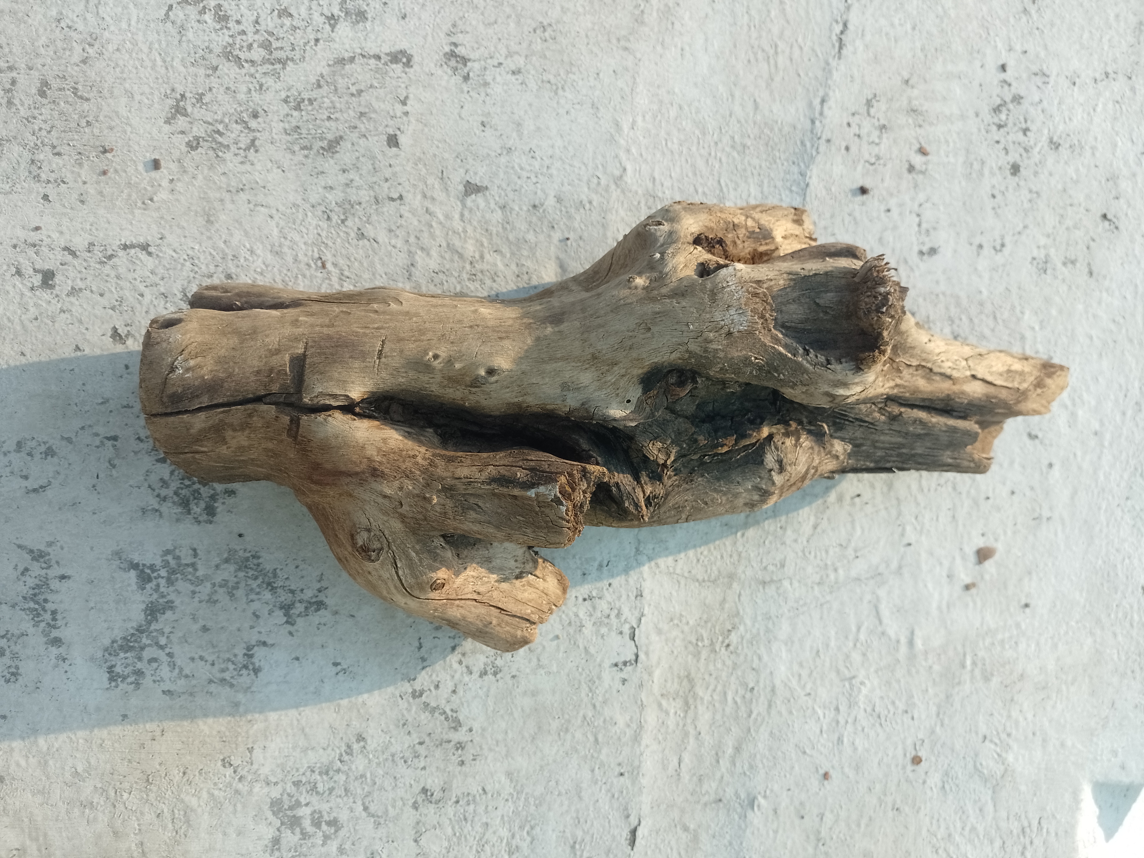 Rustic Driftwood 45 Cm long 
