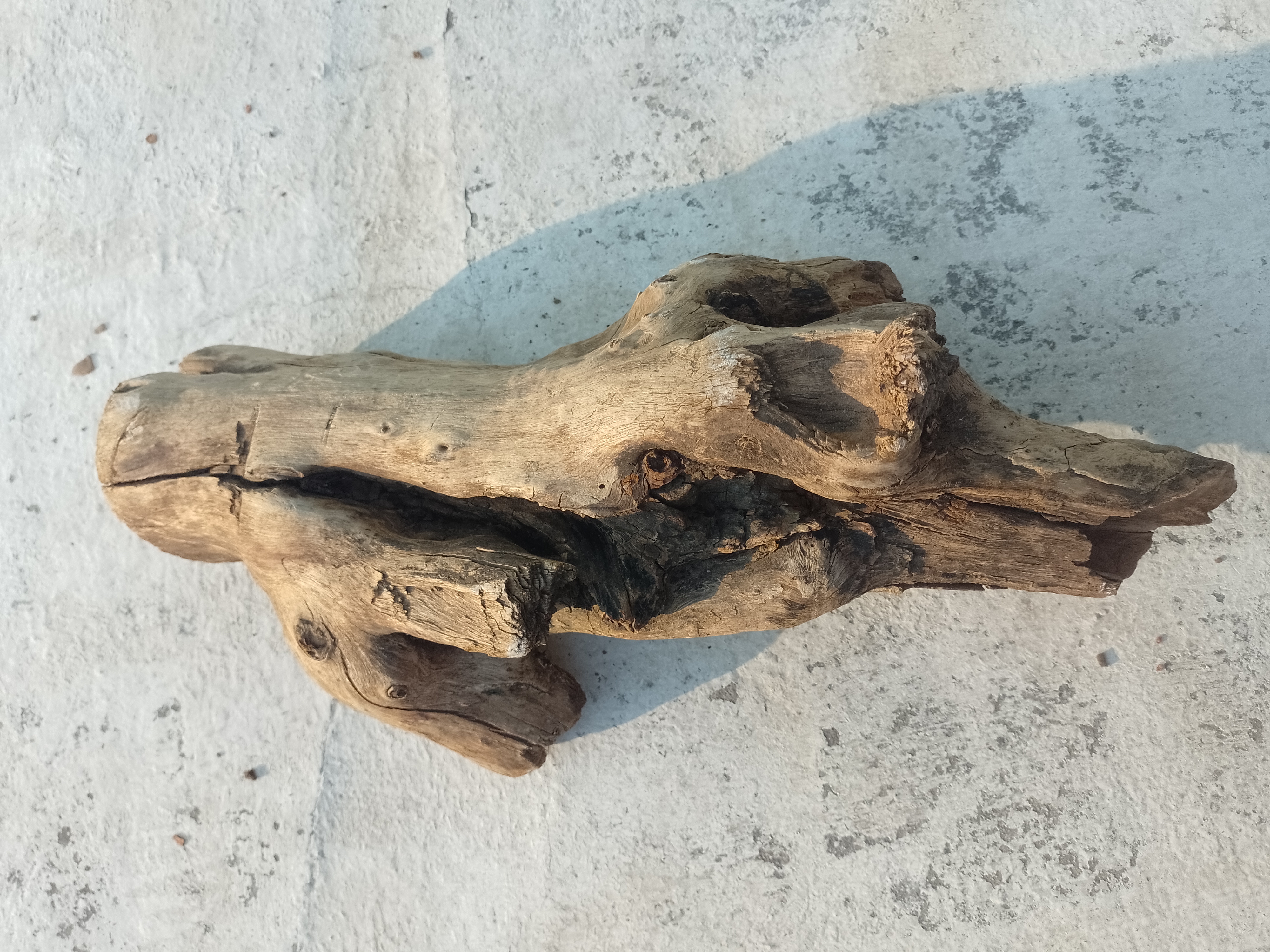 Rustic Driftwood 45 Cm long 
