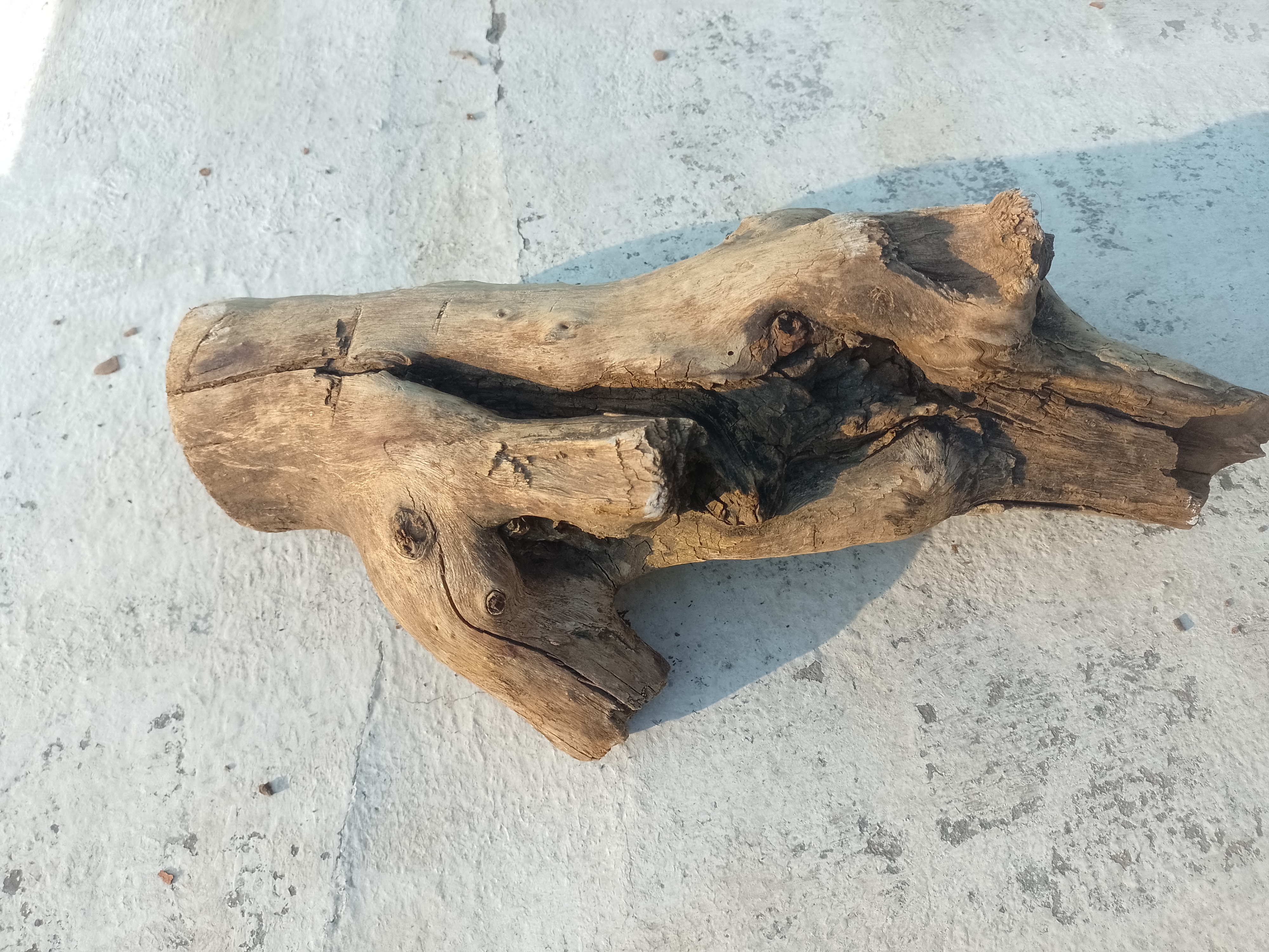 Rustic Driftwood 45 Cm long 