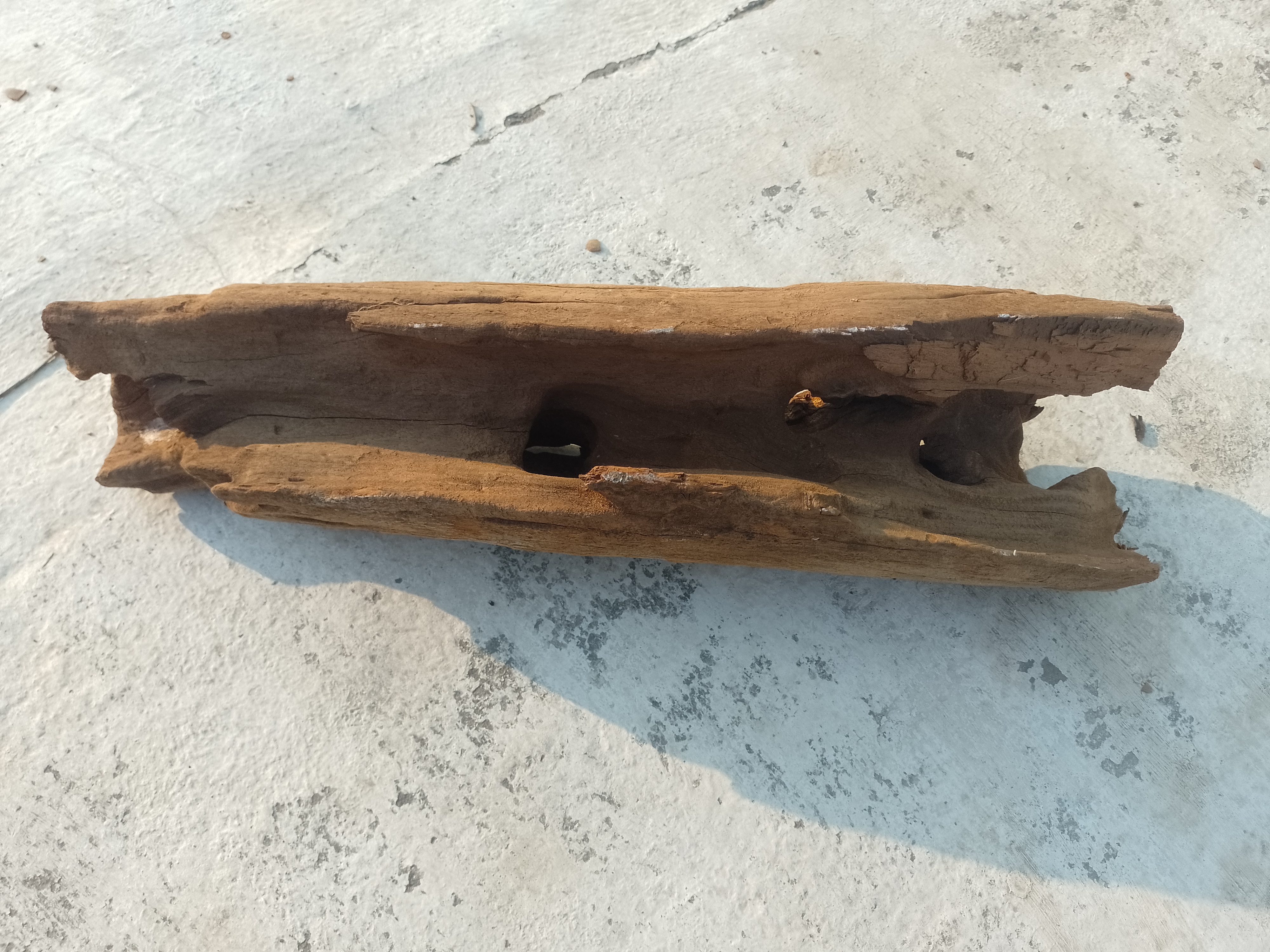 Natural Driftwood Piece 50 cm long  vintage wood 