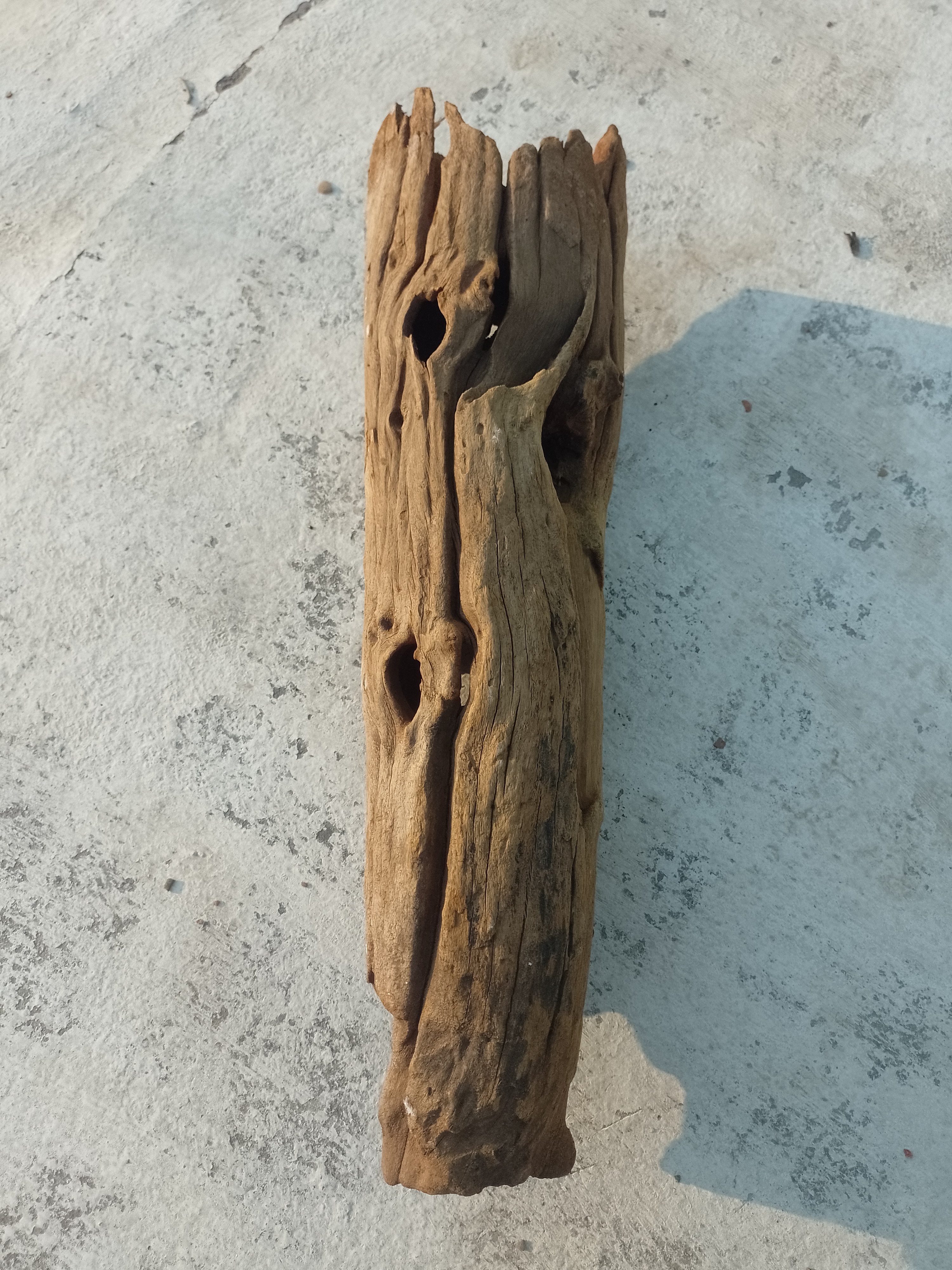 Natural Driftwood Piece 50 cm long  vintage wood 
