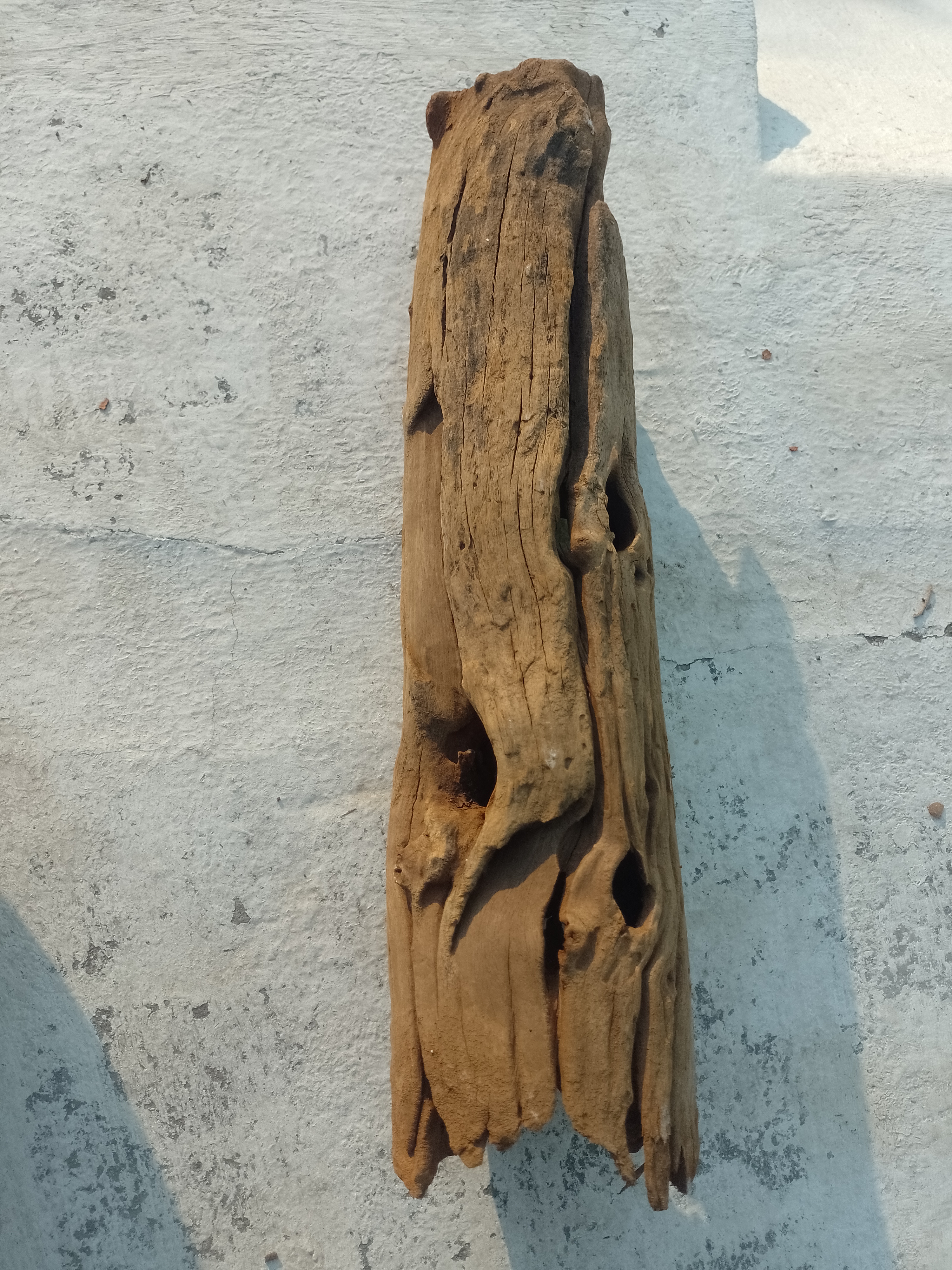 Natural Driftwood Piece 50 cm long  vintage wood 