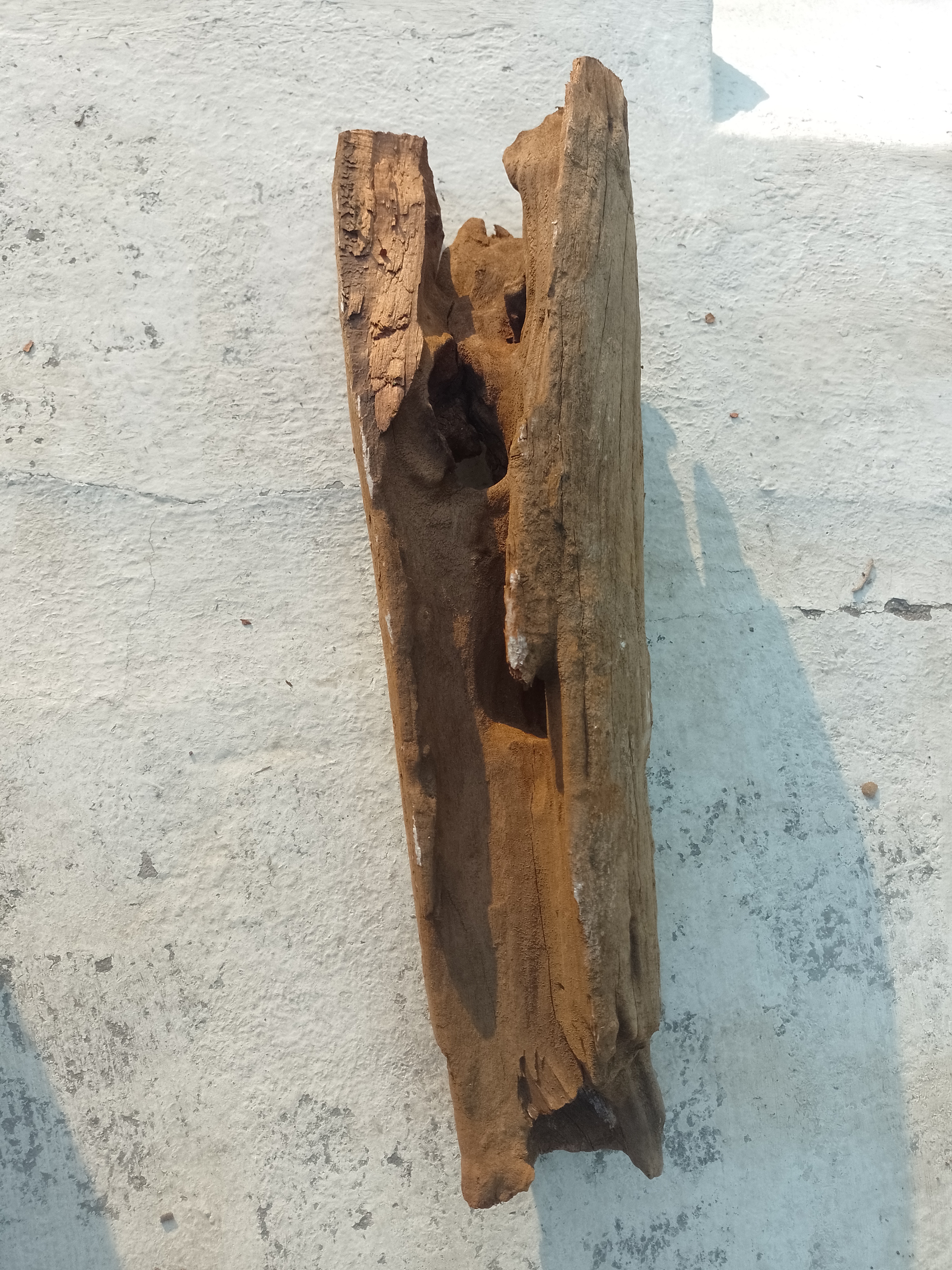 Natural Driftwood Piece 50 cm long  vintage wood 