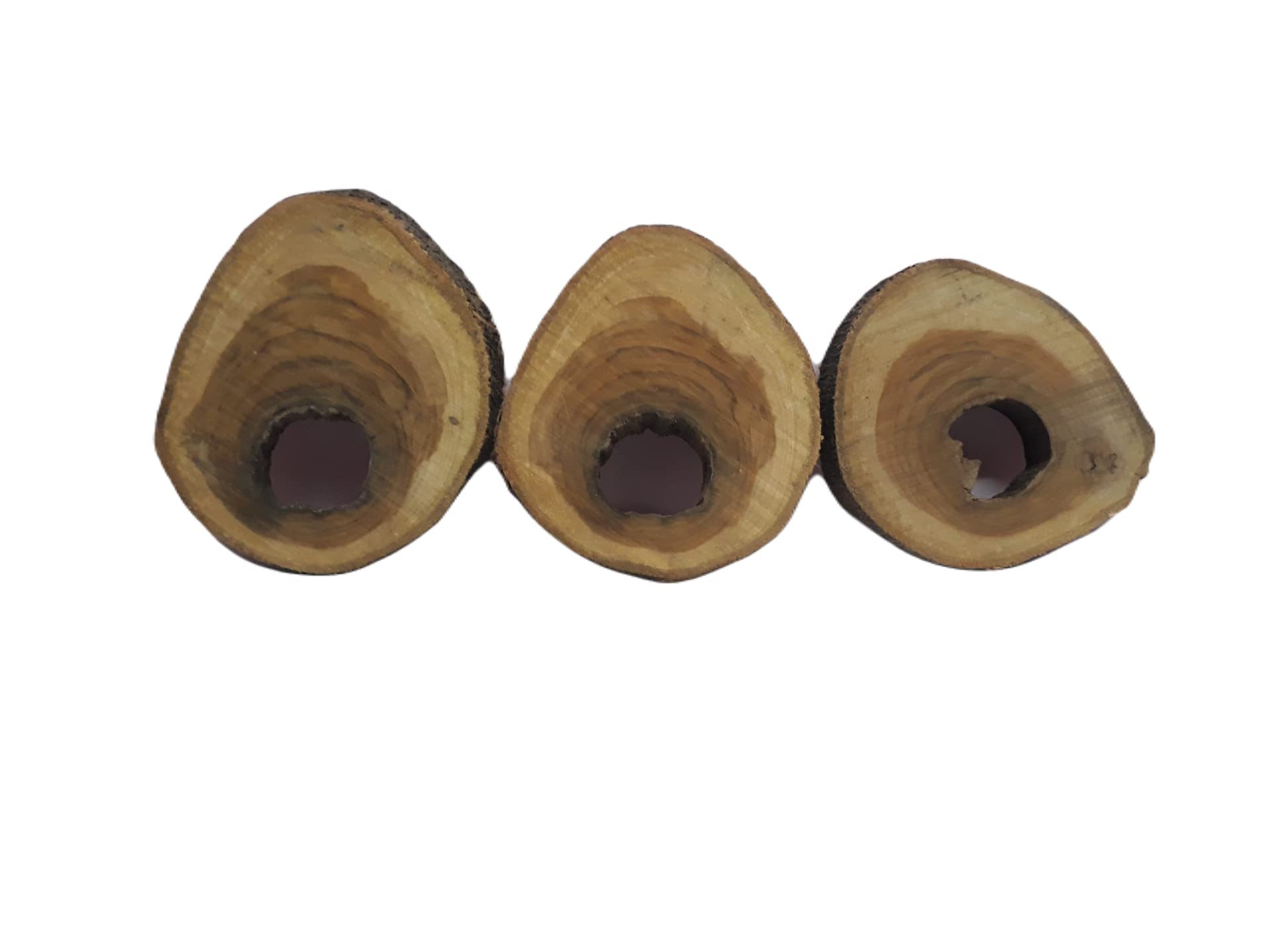 Teak Wood Round Slice 3 Cut Pieces 25 Cm 