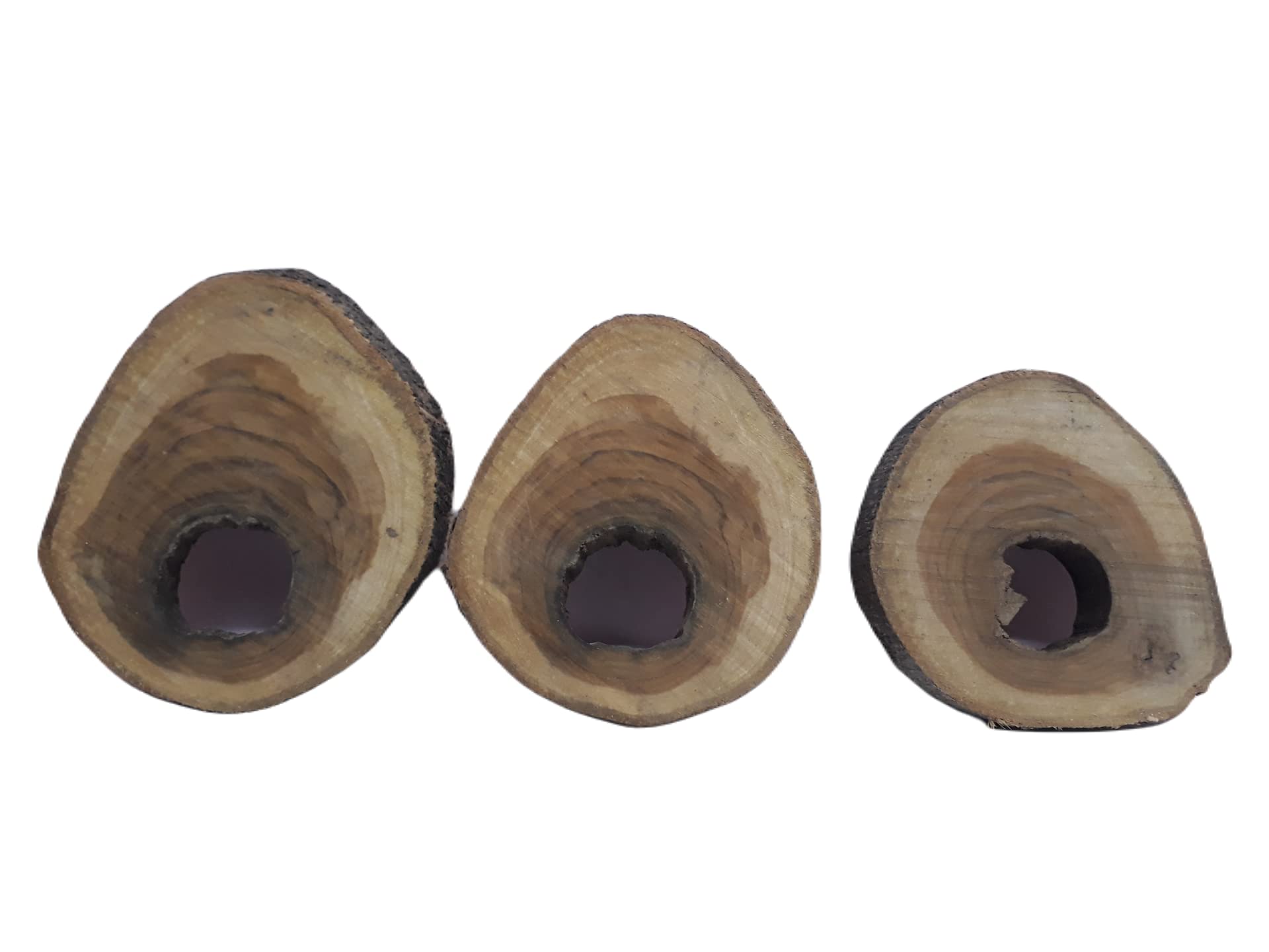 Teak Wood Round Slice 3 Cut Pieces 25 Cm 