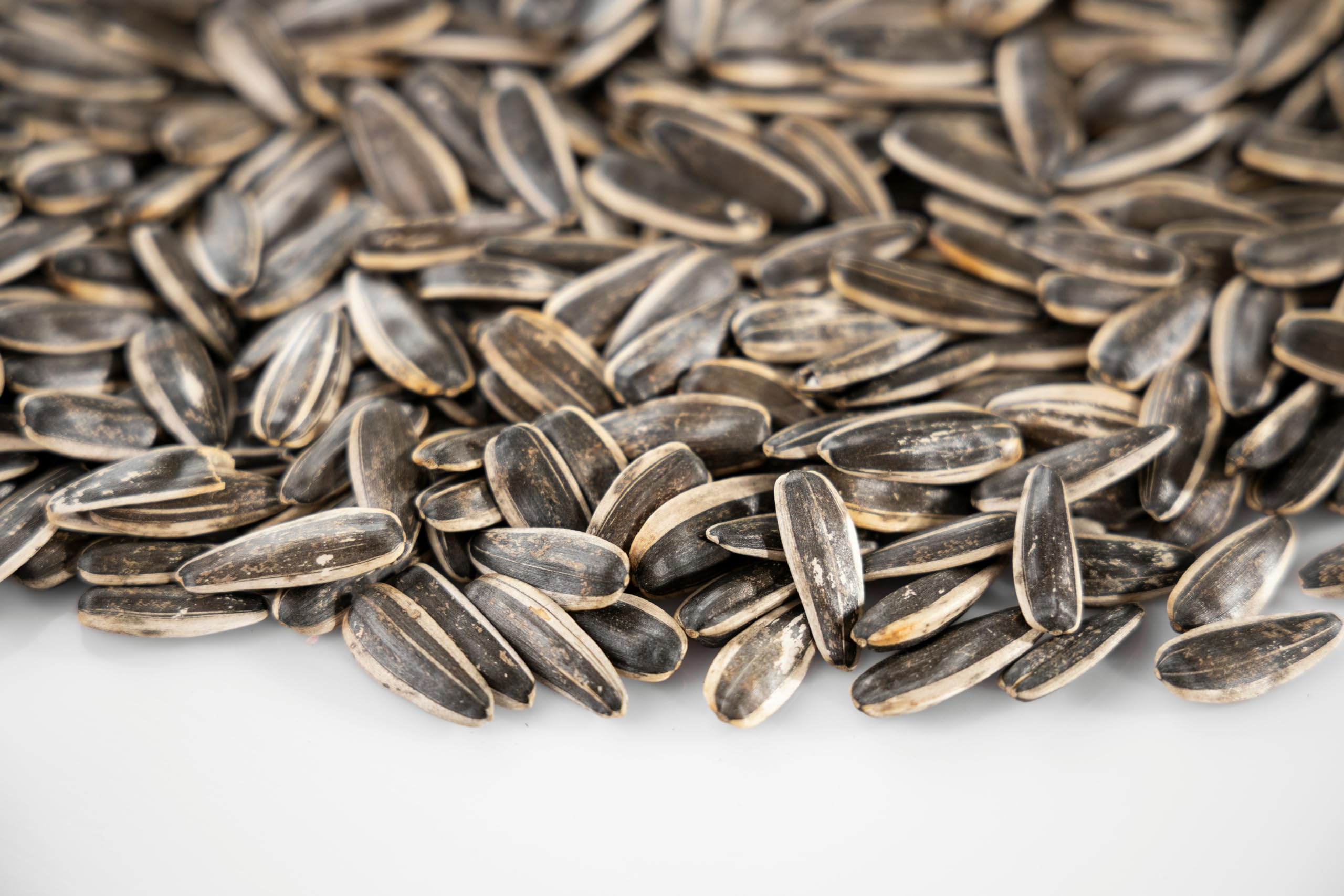 Sunflower Seeds Bird Food 200 Gram