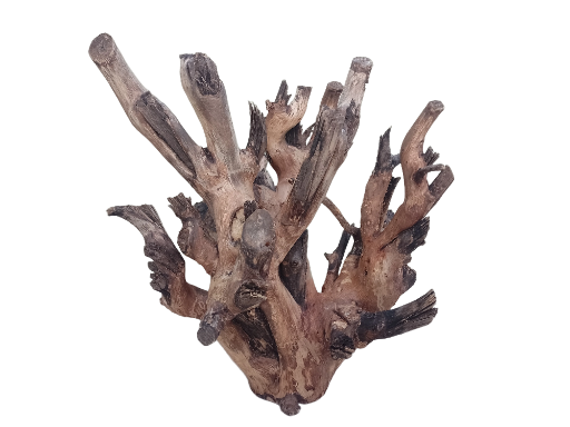 Original Teak Driftwood Branch 50 Cm long Heavy solid wood