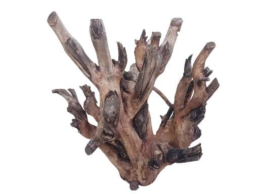 Original Teak Driftwood Branch 50 Cm long Heavy solid wood 