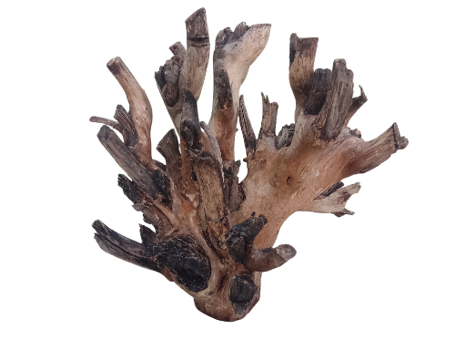Original Teak Driftwood Branch 50 Cm long Heavy solid wood 