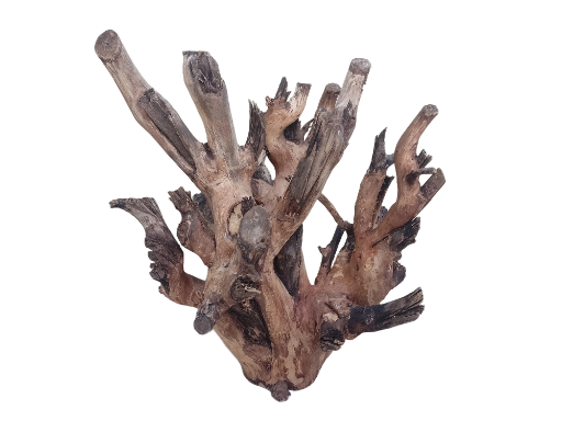 Original Teak Driftwood Branch 50 Cm long Heavy solid wood 