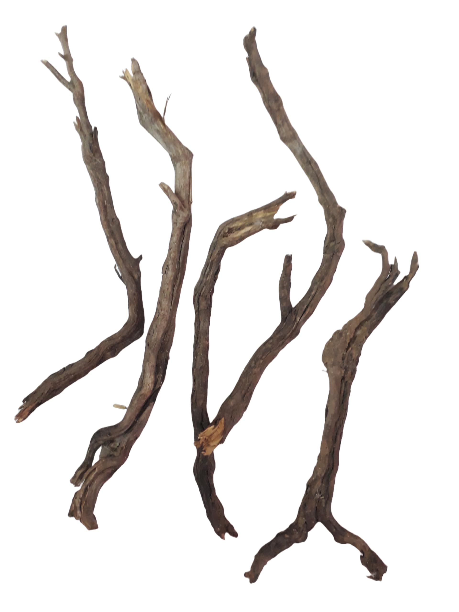 Driftwood for Aquarium Root style Driftwood Sticks 5 Pieces 25 Cm Long each Sticks (Random shape)
