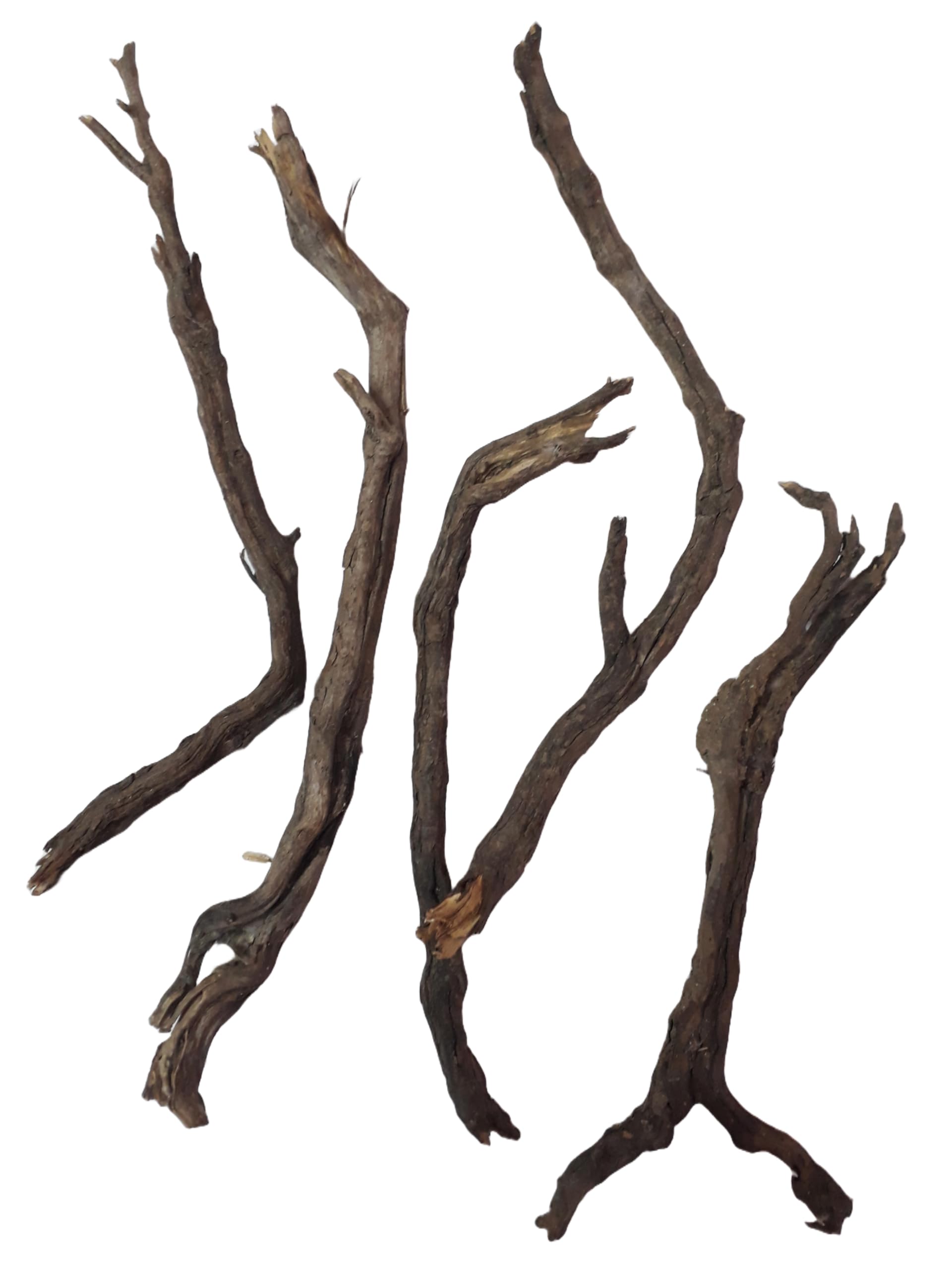 Driftwood for Aquarium Root style Driftwood Sticks 5 Pieces 25 Cm Long each Sticks (Random shape)