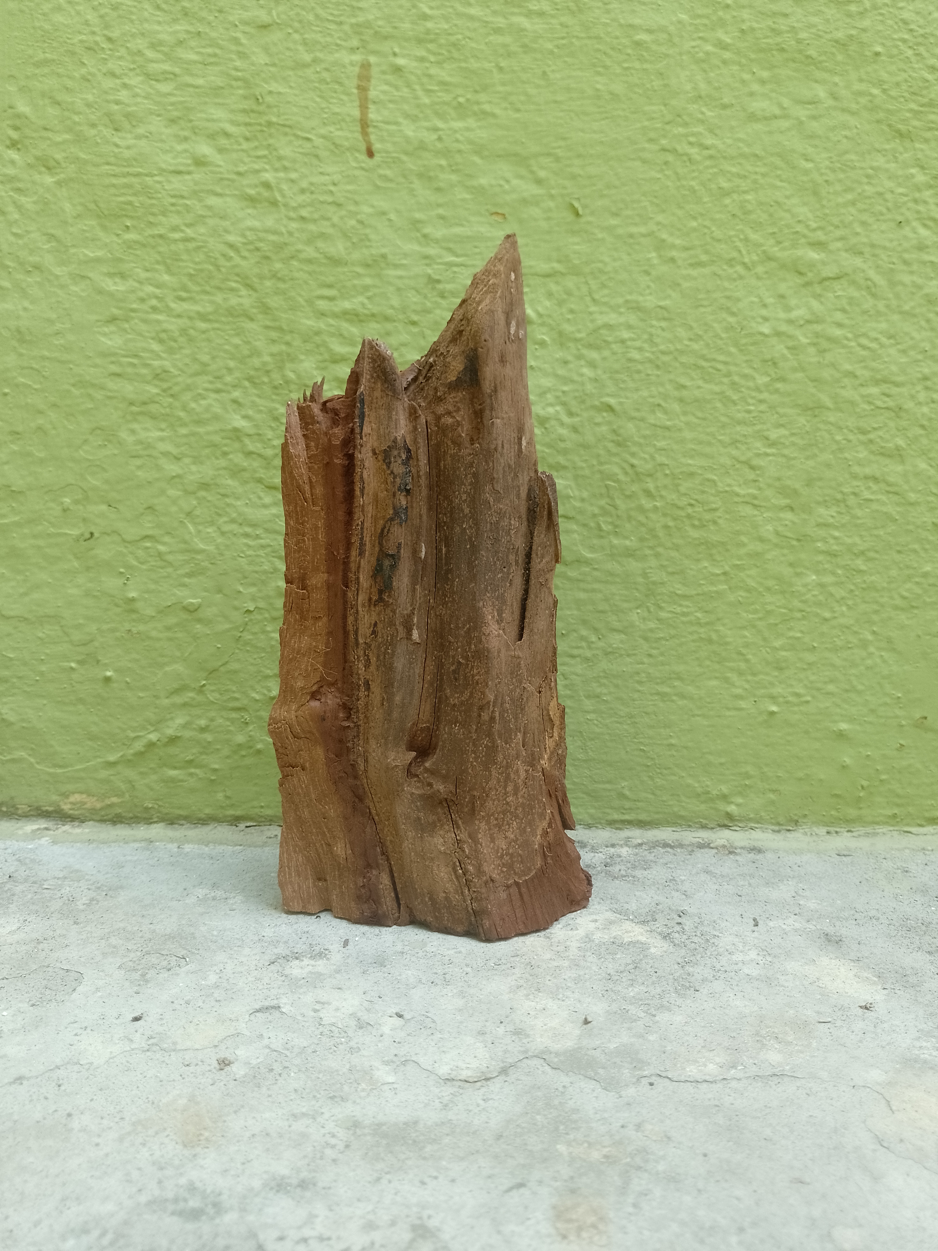 Burmese Teak Driftwood vintage waste piece 20 cm Height 