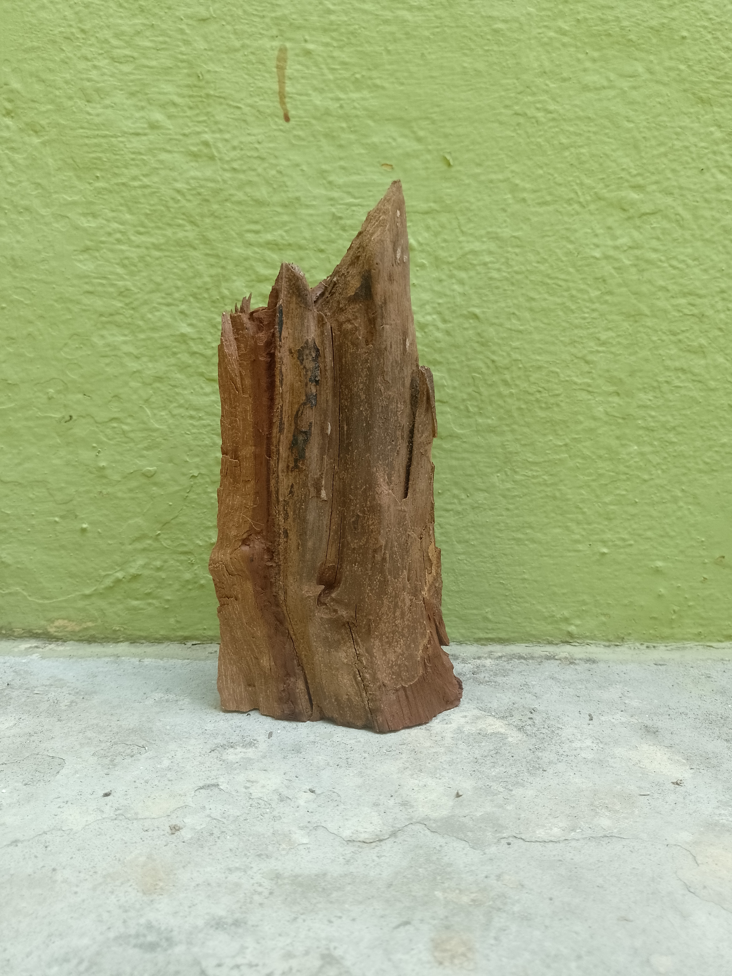 Burmese Teak Driftwood vintage waste piece 20 cm Height 
