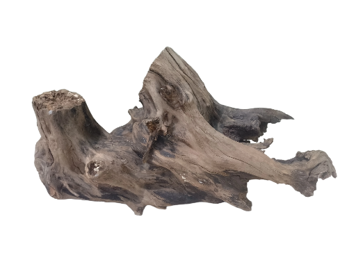 Natural Driftwood Tree Root bulky driftwood with cave inside the wood 60 cm long