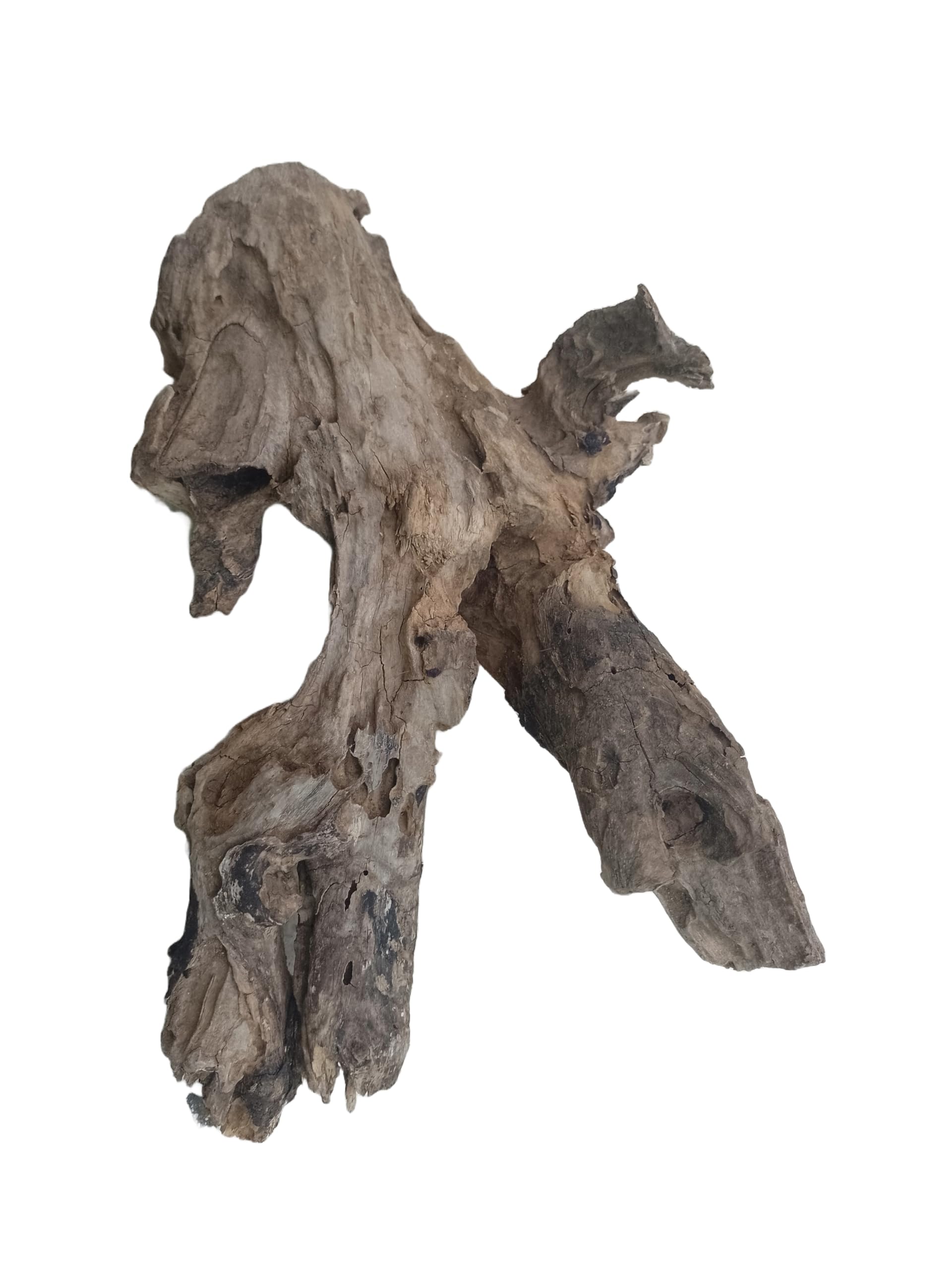 Driftwood For Aquarium Old Teak rotten piece 25 CM long